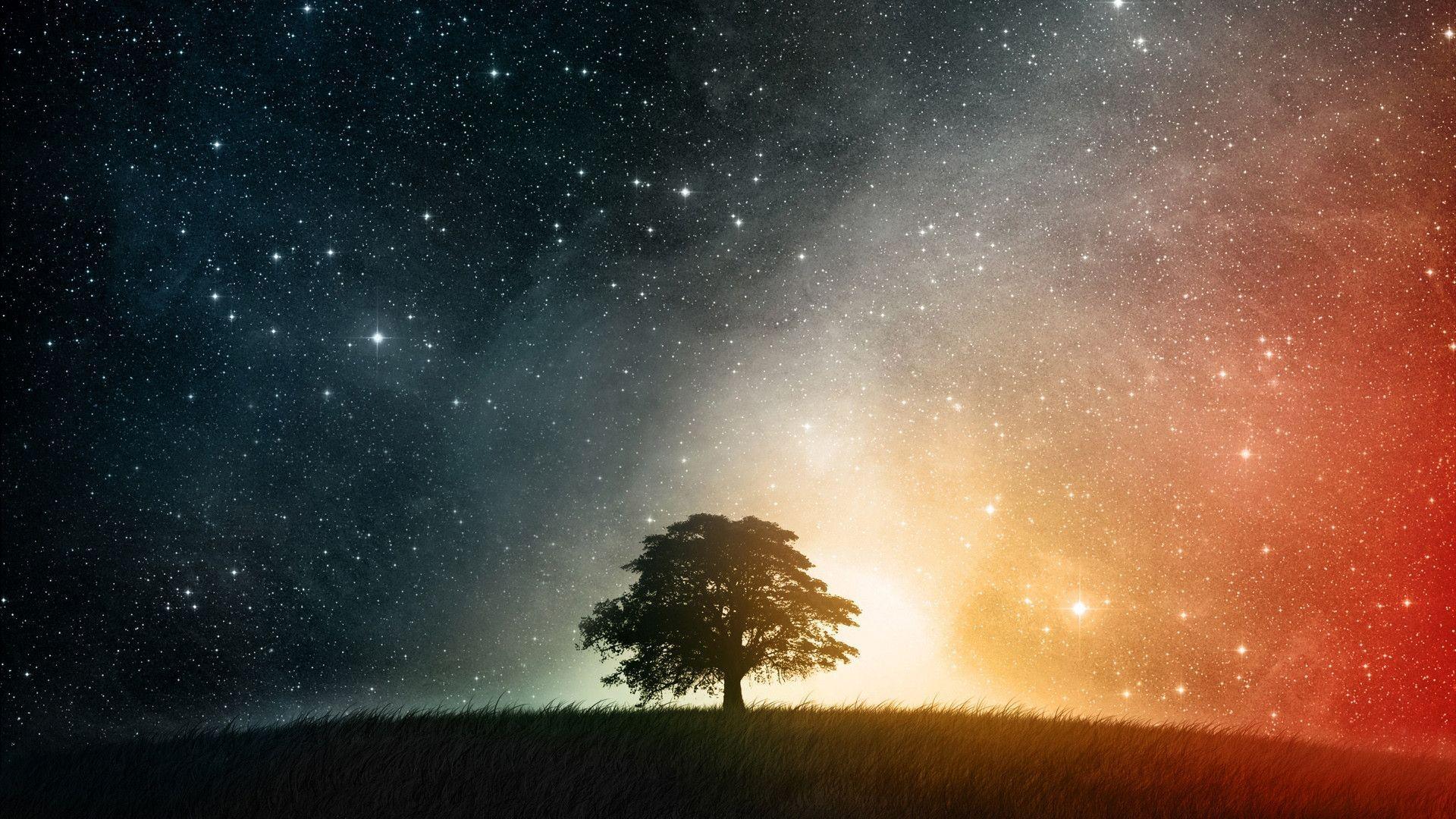 albero solitario sotto galassia, 1920x1080 1080p, PC Desktop