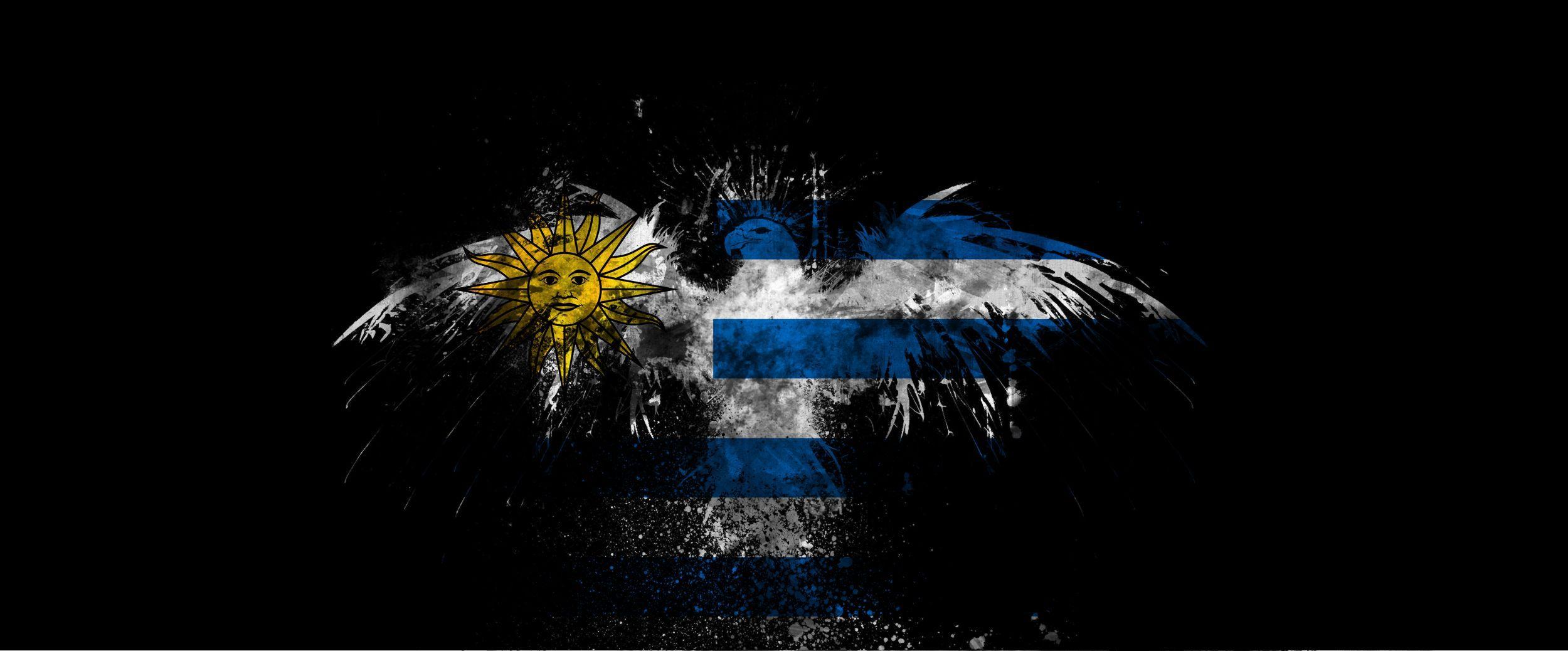 Calciatore Uruguay bandiera stemma, 1024x785 HD, Monitor Gaming