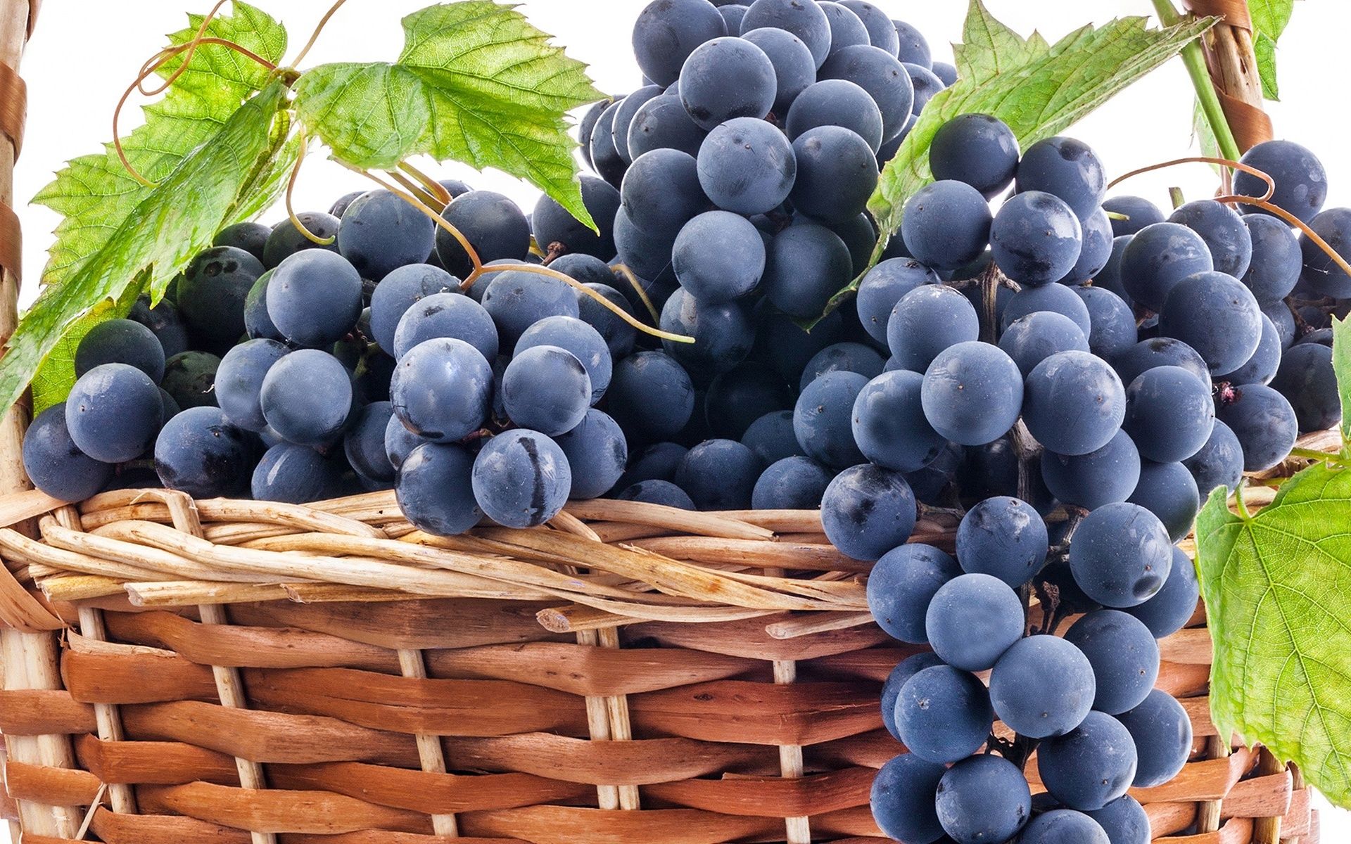 Grappoli d'uva verde e nera, 1920x1200 WUXGA, Desktop