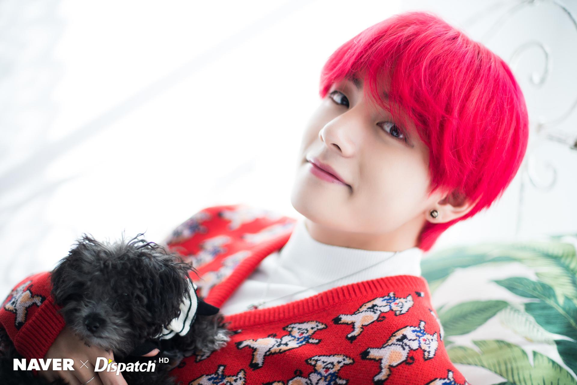 V BTS capelli rossi con cane, 1920x1280 WUXGA, PC