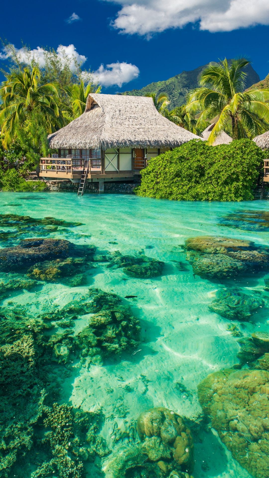Bungalow tropicale su acqua turchese, 1080x1920 Full HD Verticale, Smartphone
