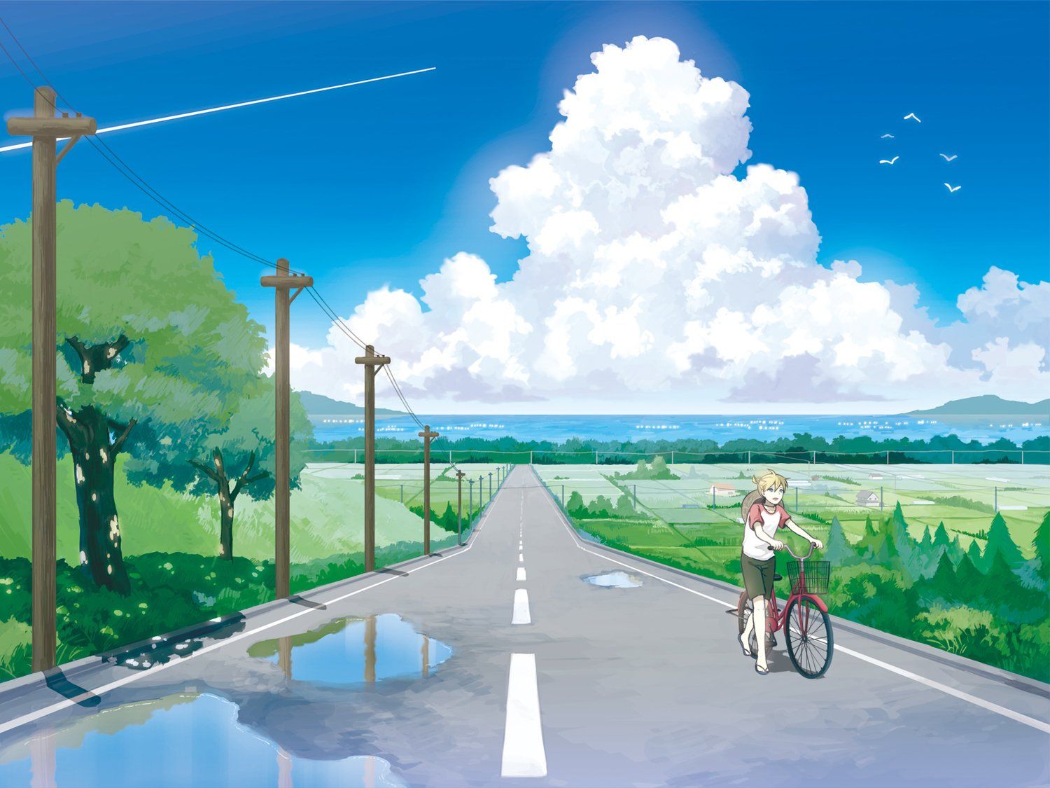 Ciclista su strada di campagna, 1500x1125 HD, Desktop