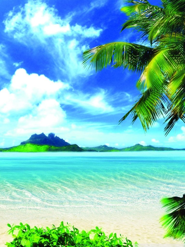 Spiaggia tropicale con palme, 768x1024 Verticale, Mobile
