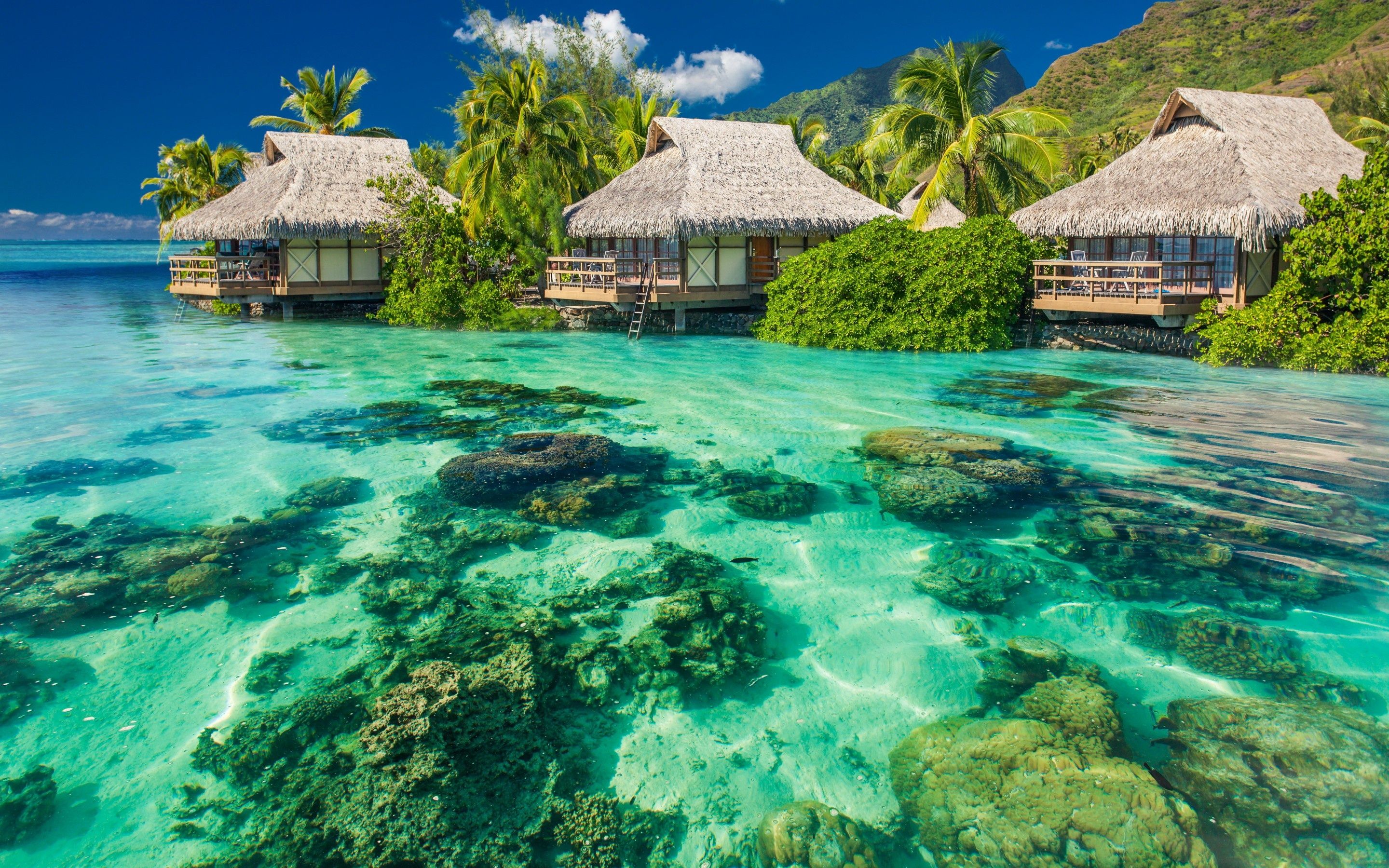 Bungalow tropicali su laguna, 2880x1800 WQXGA, Desktop
