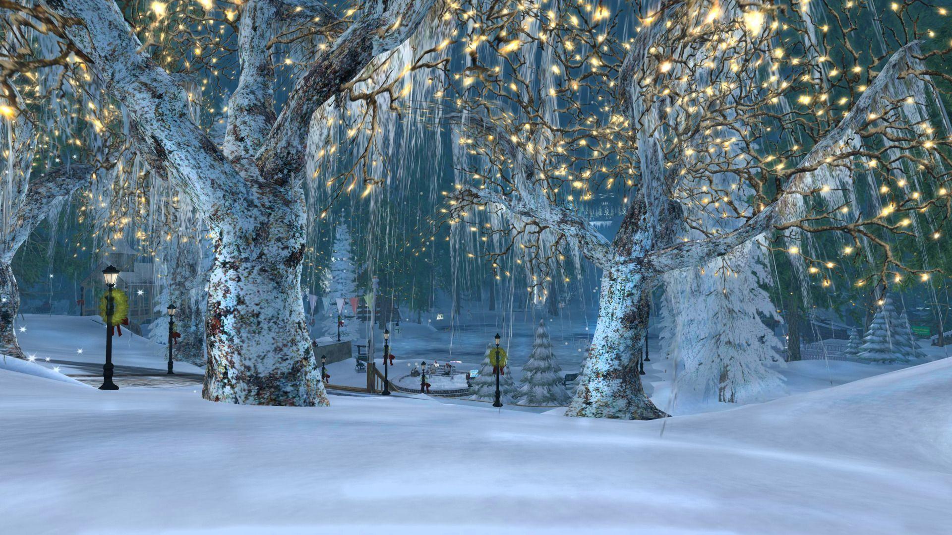 Alberi innevati con luci natalizie, 1920x1079 Full HD 1080p, PC