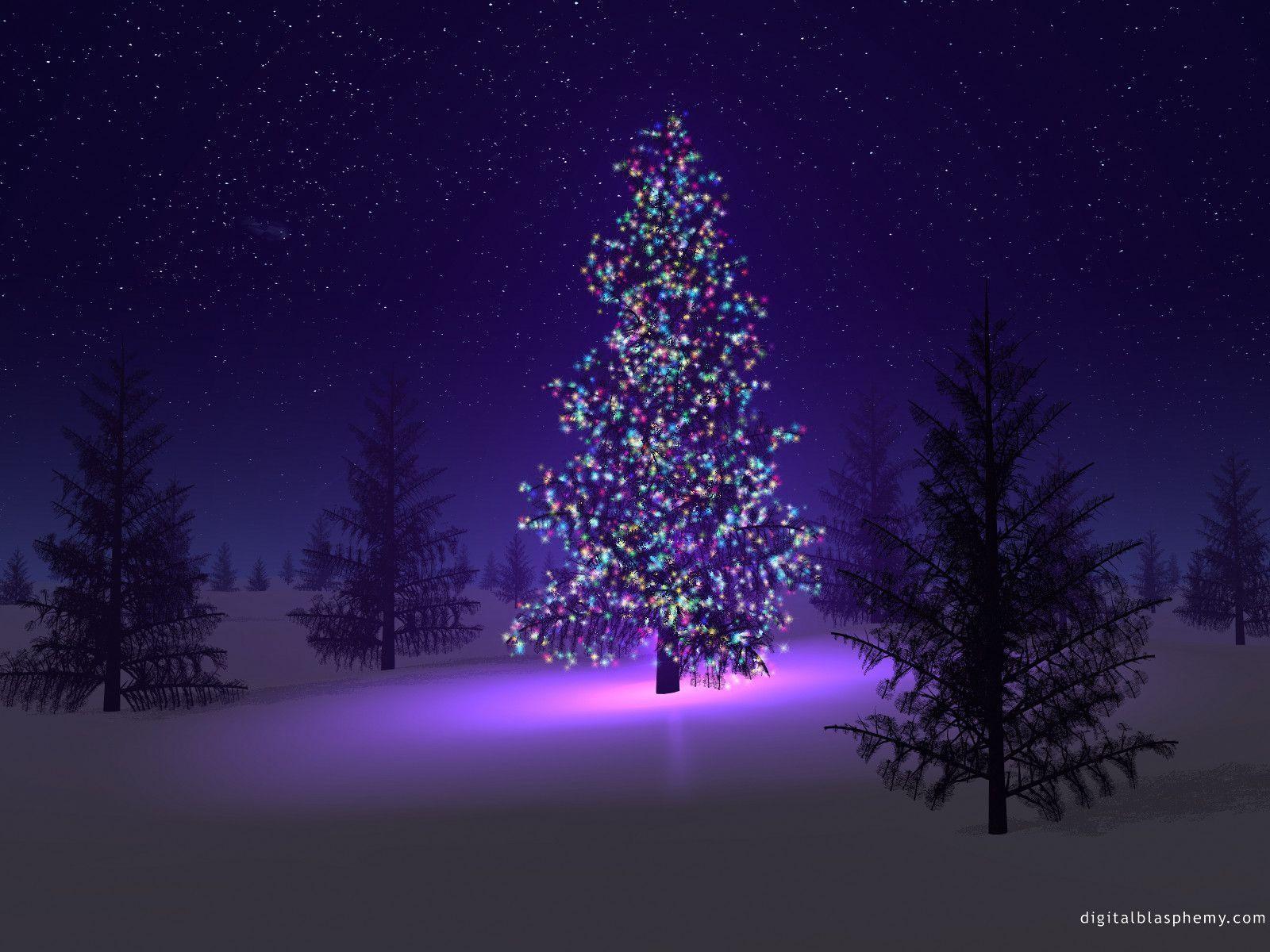 Albero di Natale illuminato notte, 1600x1200 900p, Desktop
