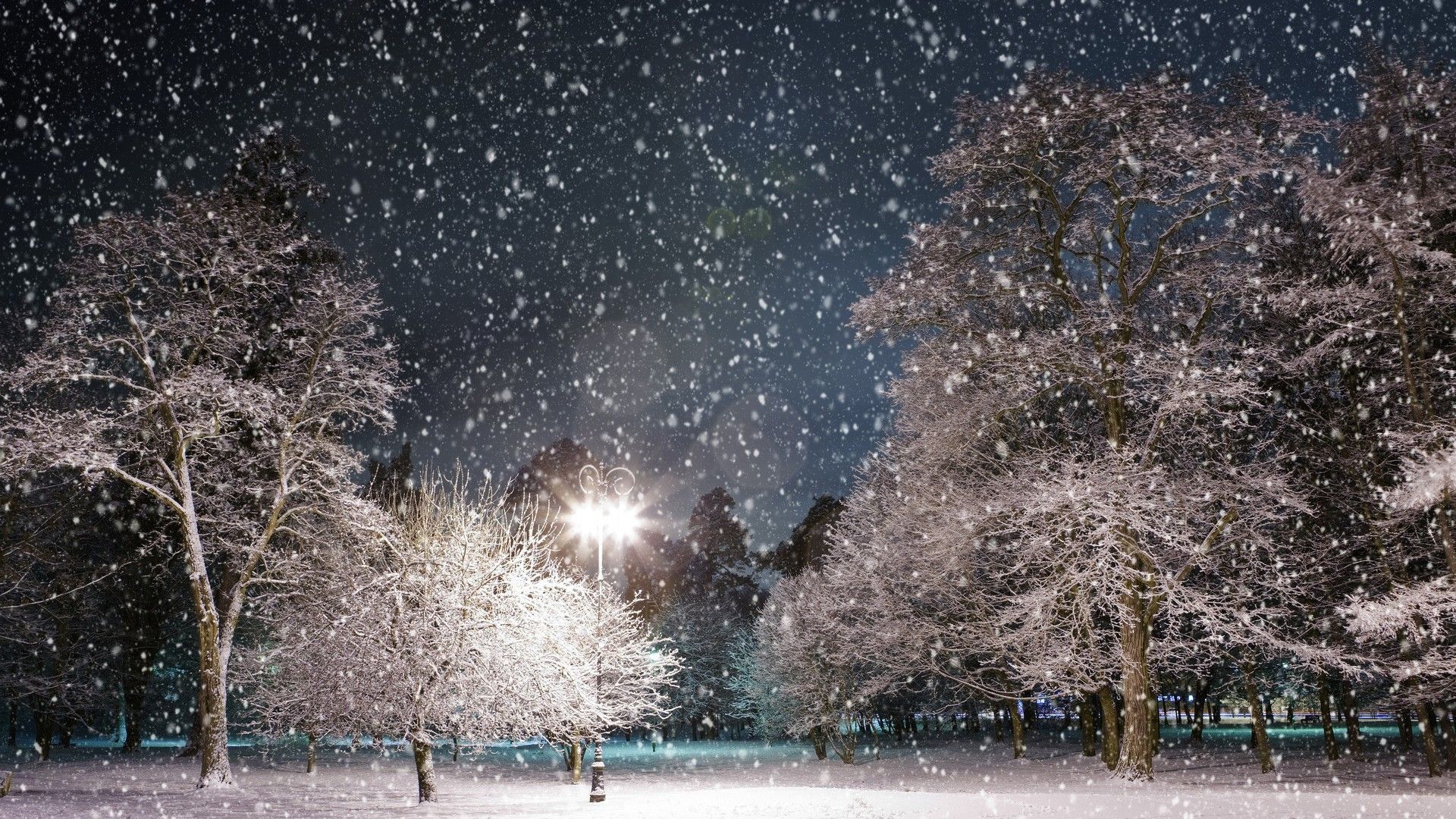 Parco innevato notturno con neve, 1920x1080 Full HD 1080p, Laptop