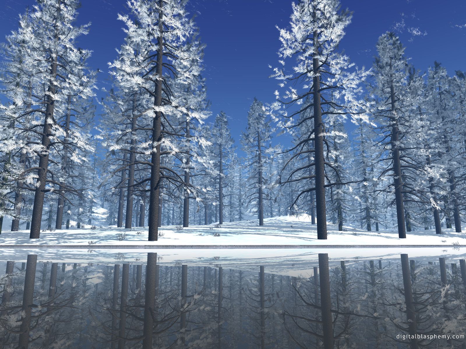 Alberi innevati riflessi nel lago, 1600x1200 HD, Laptop