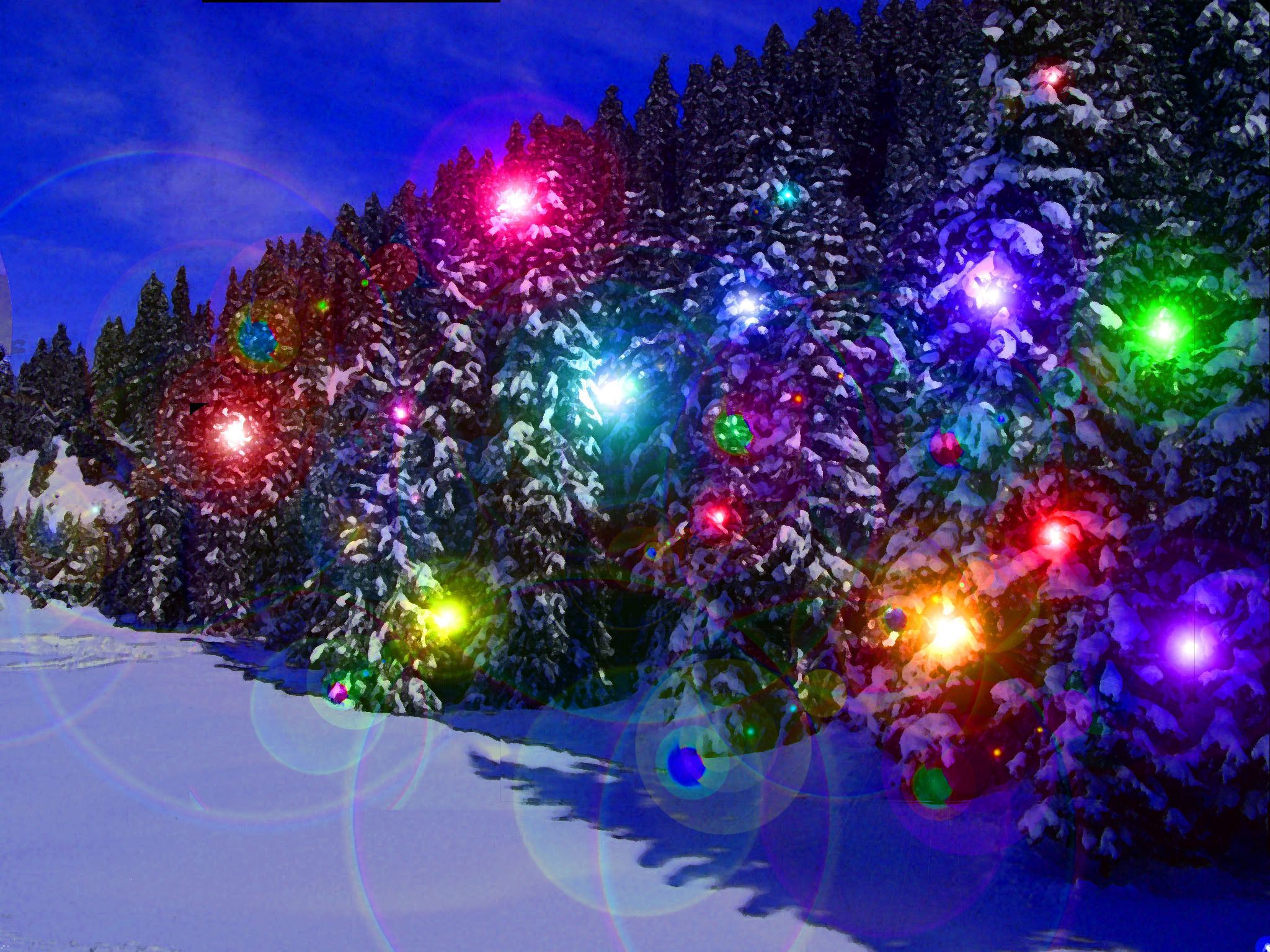 Alberi innevati con luci colorate, 2048x1536 alta risoluzione, PC