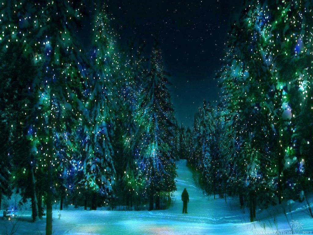 Foresta innevata luci notturne, 1024x768 HD, Desktop