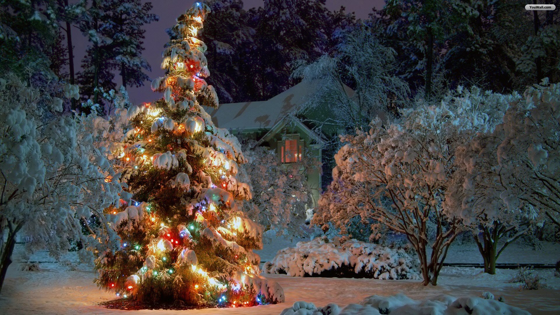 Albero di Natale illuminato neve, 1920x1080 1080p, Laptop