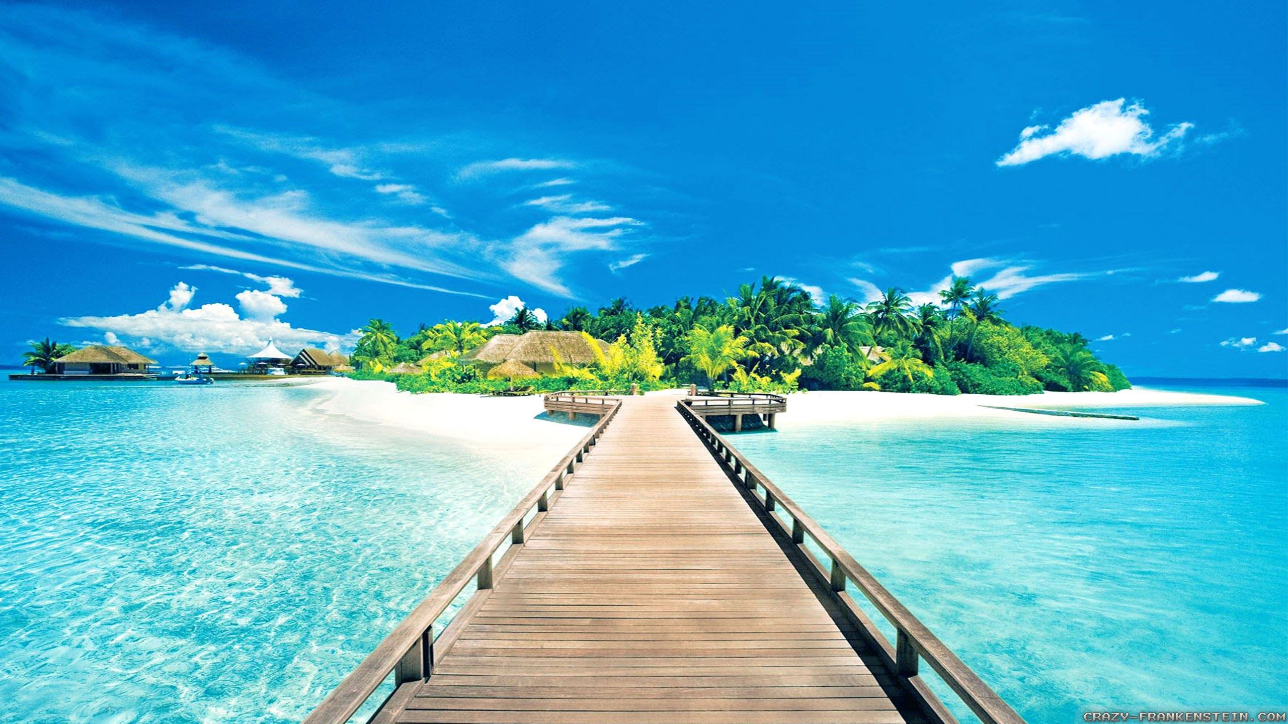 Molo tropicale isola paradiso, 2560x1440 2K QHD, PC