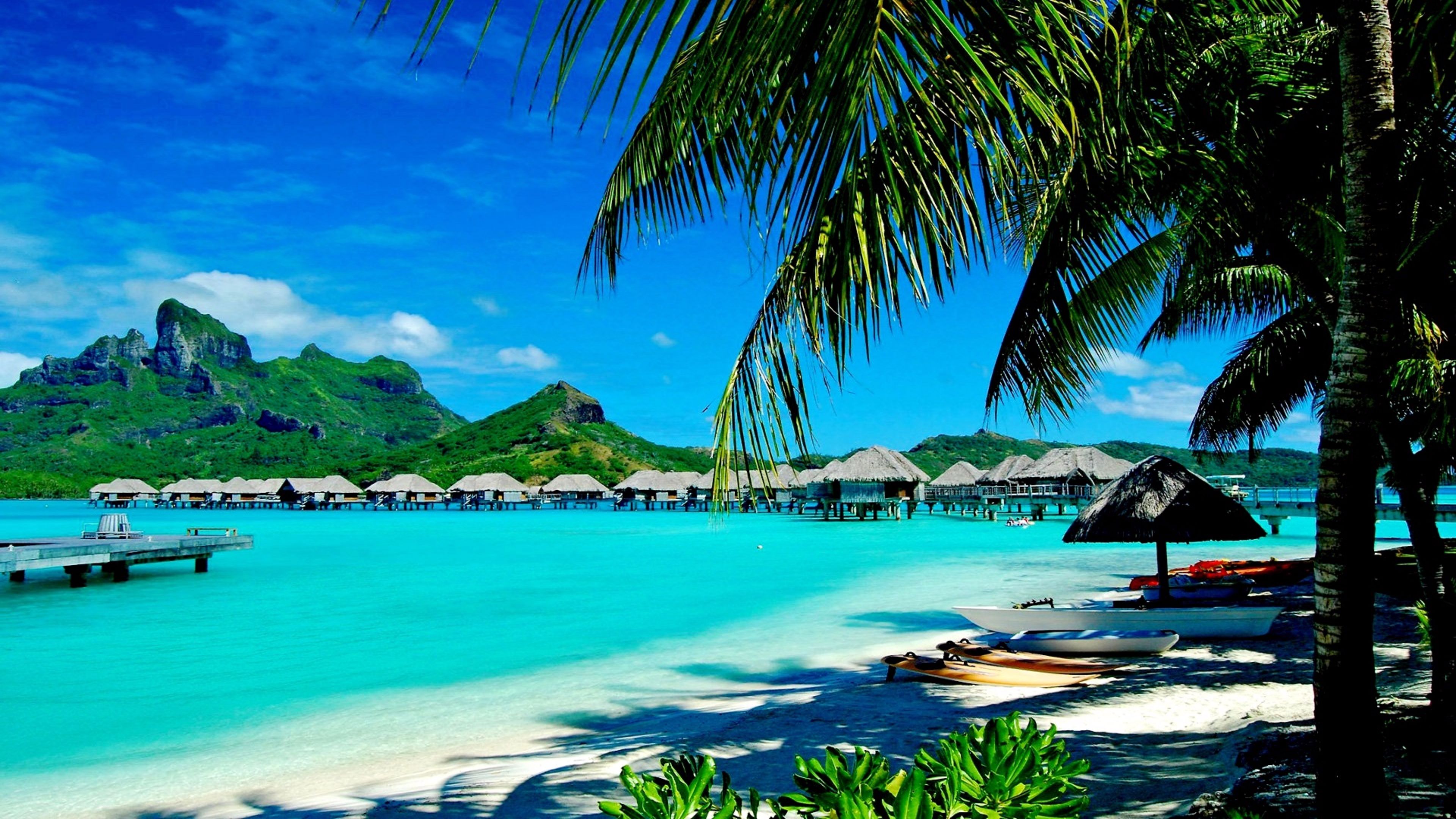 Spiaggia tropicale con palme, 3840x2160 4K Ultra HD, Monitor 4K