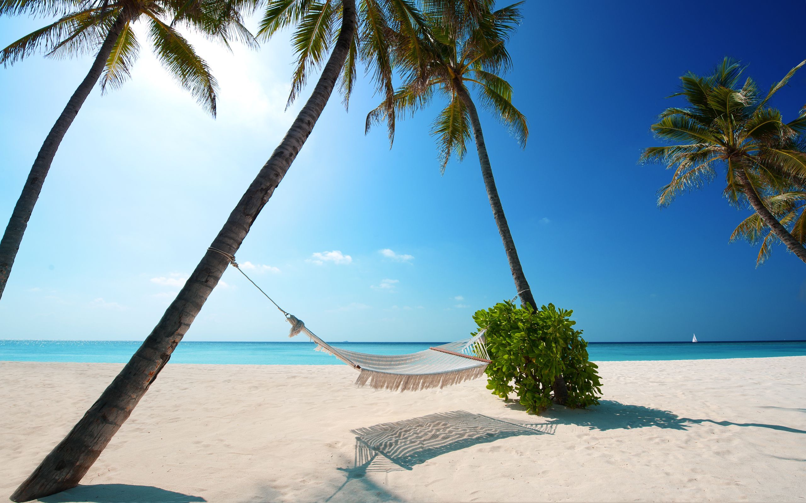 Spiaggia tropicale con amaca, 2560x1600 2K+, Laptop