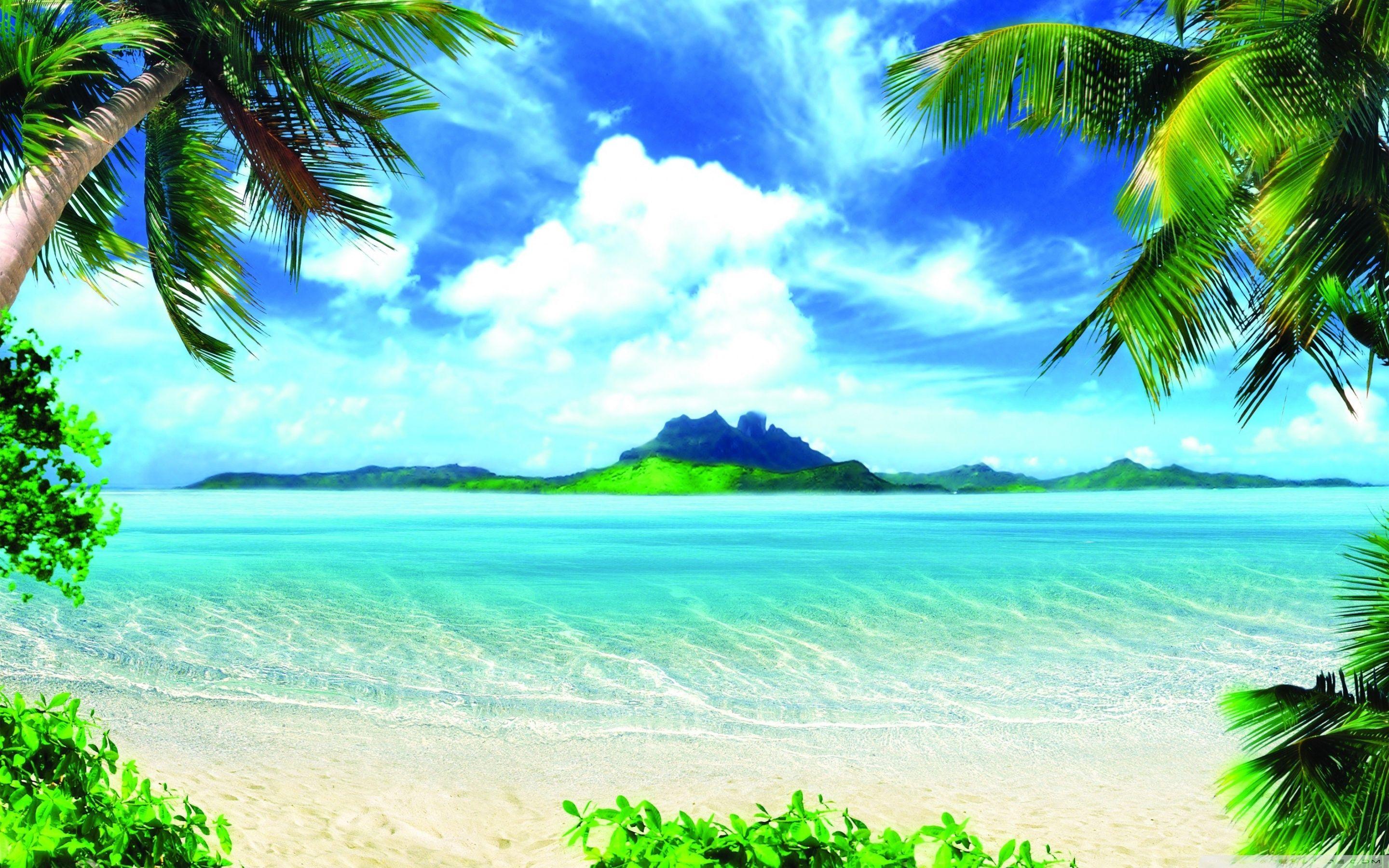 Spiaggia tropicale con palme, 2880x1800 2K+, MacBook Pro