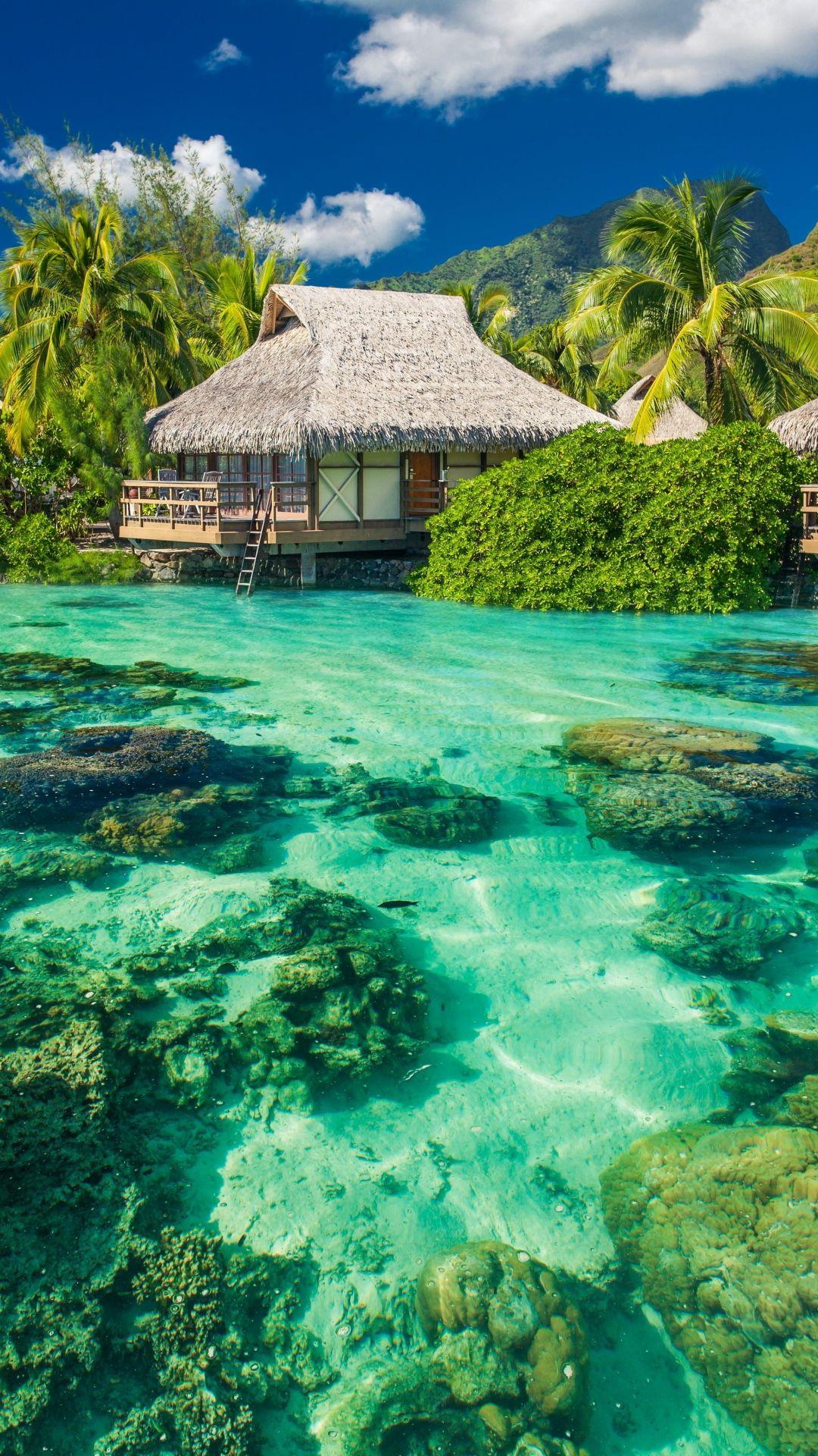 Bungalow tropicale sull'acqua turchese, 1080x1920 Full HD Verticale, iPhone