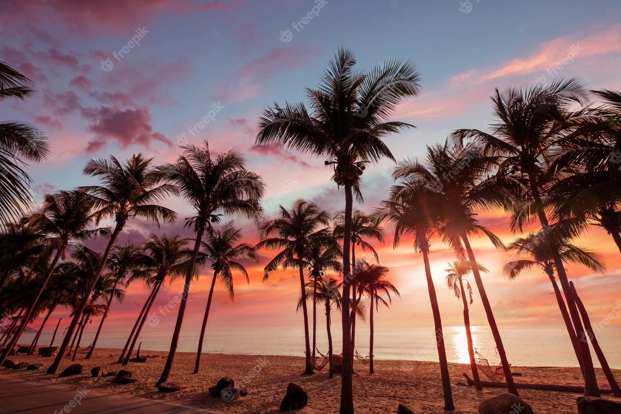 Spiaggia tropicale al tramonto con palme, 2000x1333 Hi-Res, PC