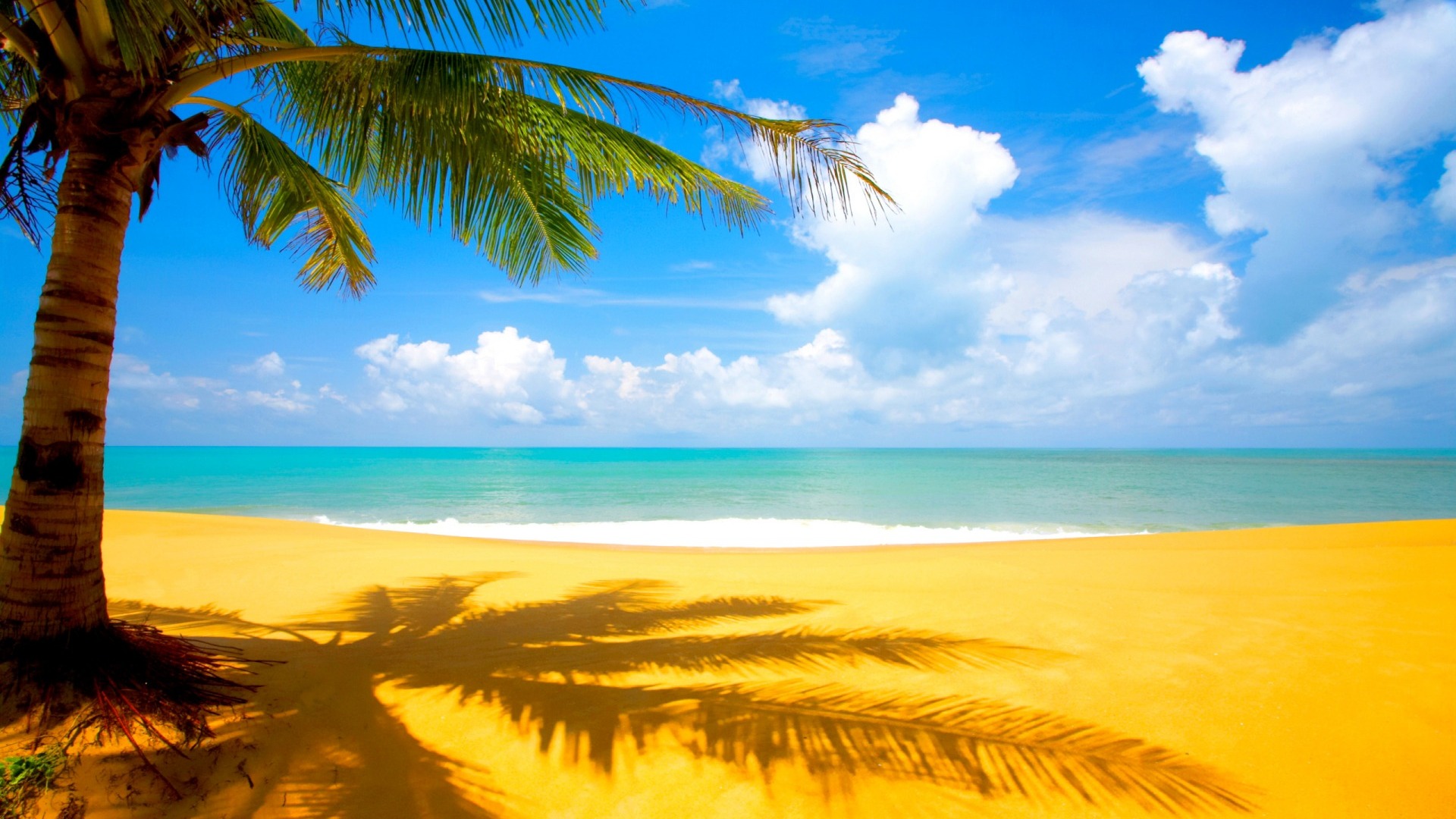 Spiaggia tropicale con palma, 1920x1080 Full HD 1080p, Desktop