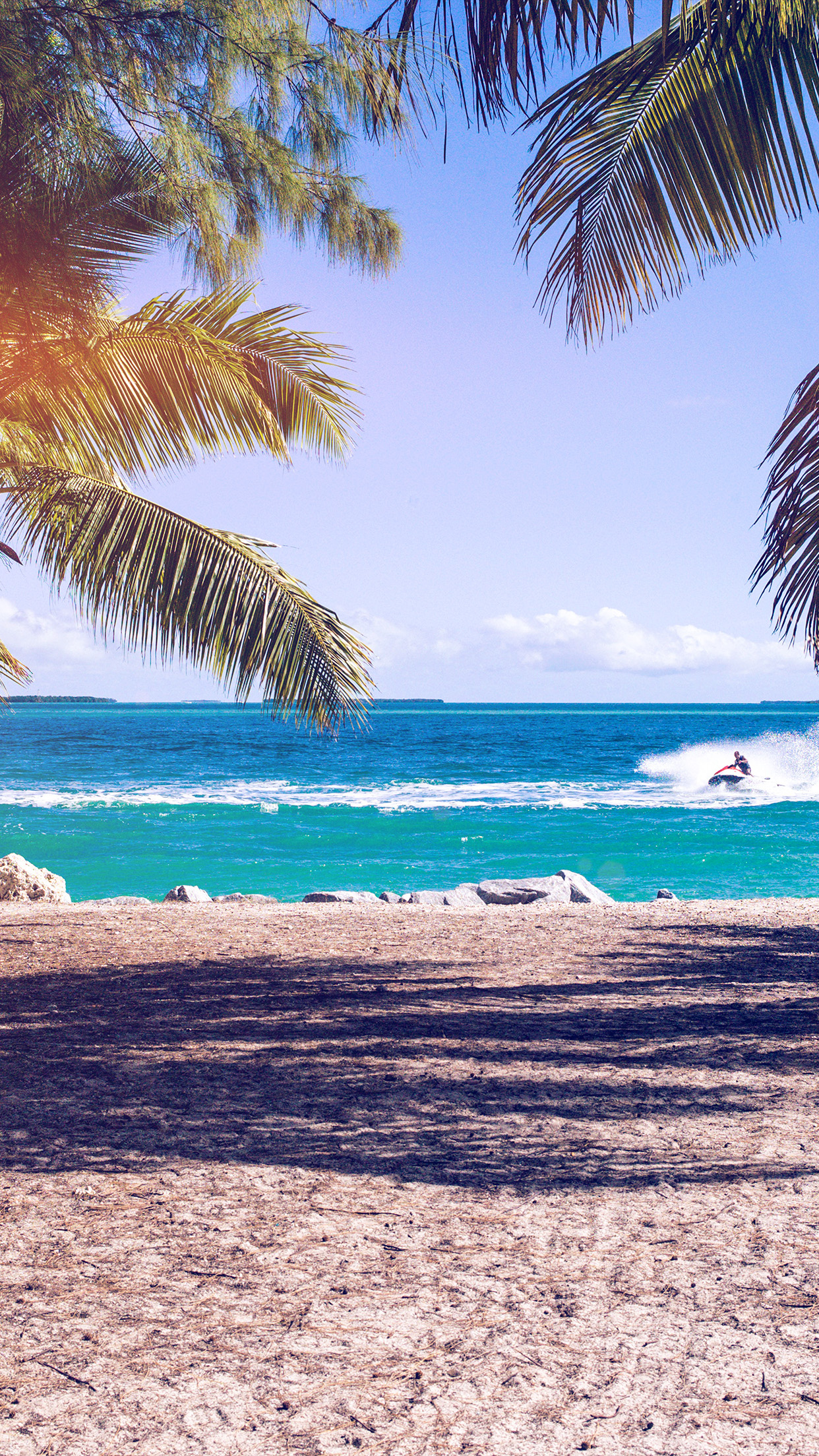Spiaggia tropicale con palme, 1242x2208 Full HD Verticale, iPhone