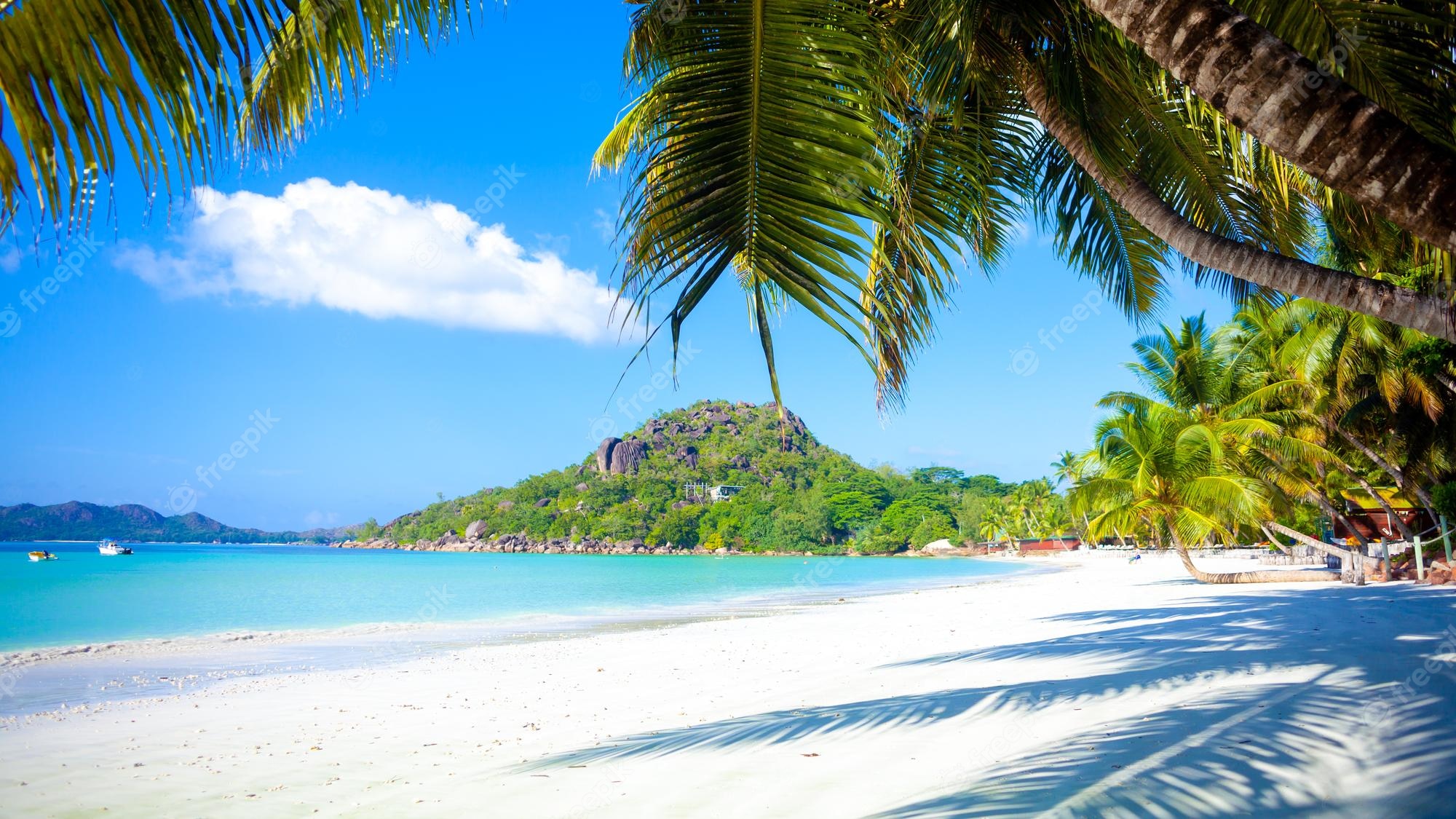 Spiaggia tropicale con palme, 2000x1125 2K, Desktop