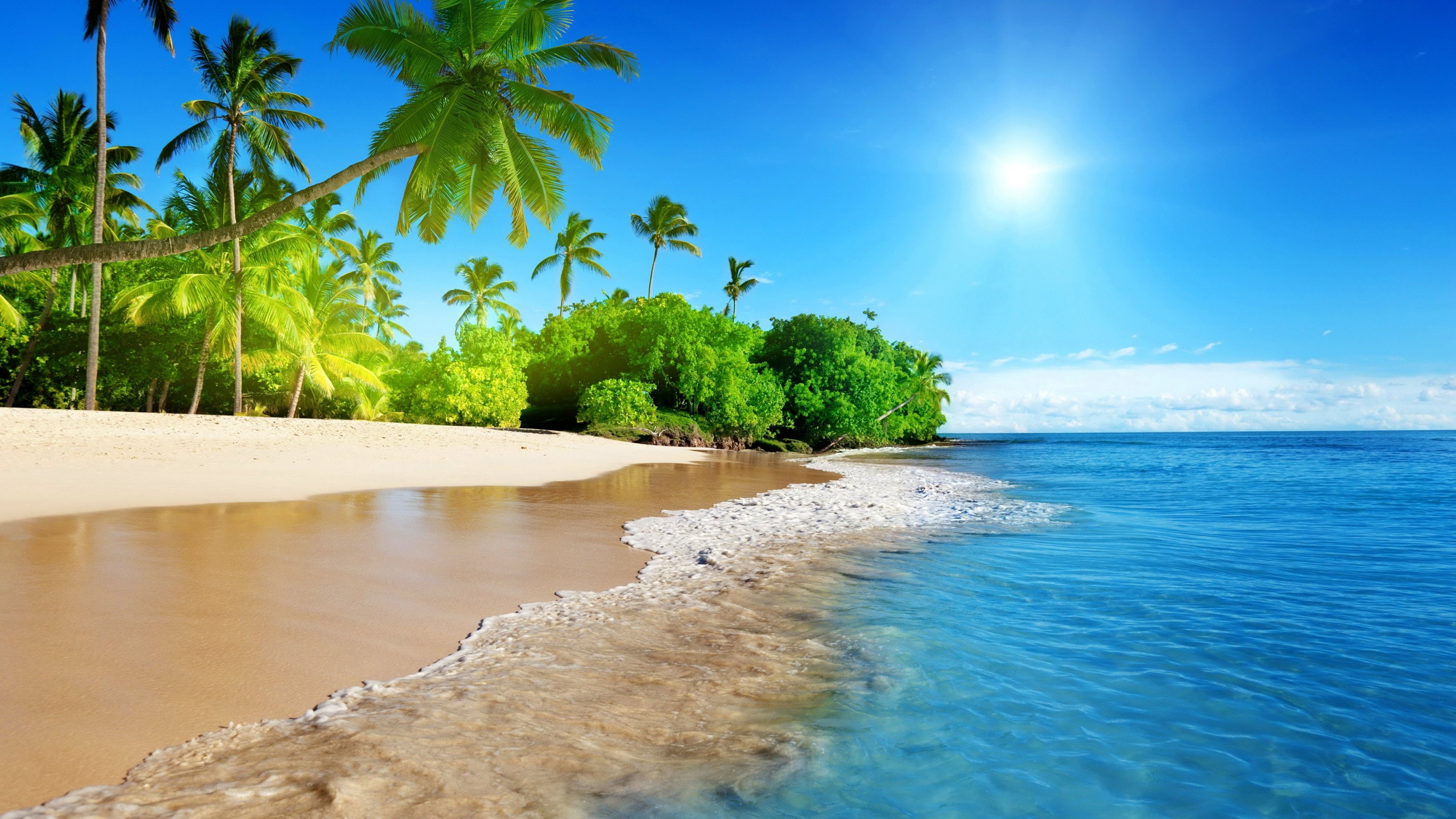 Spiaggia tropicale con palme, 3840x2160 4K Ultra HD, Monitor 4K