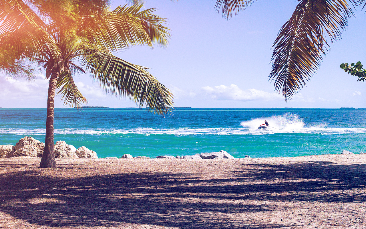 Spiaggia tropicale con palme e moto d'acqua, 1280x800 720p, PC