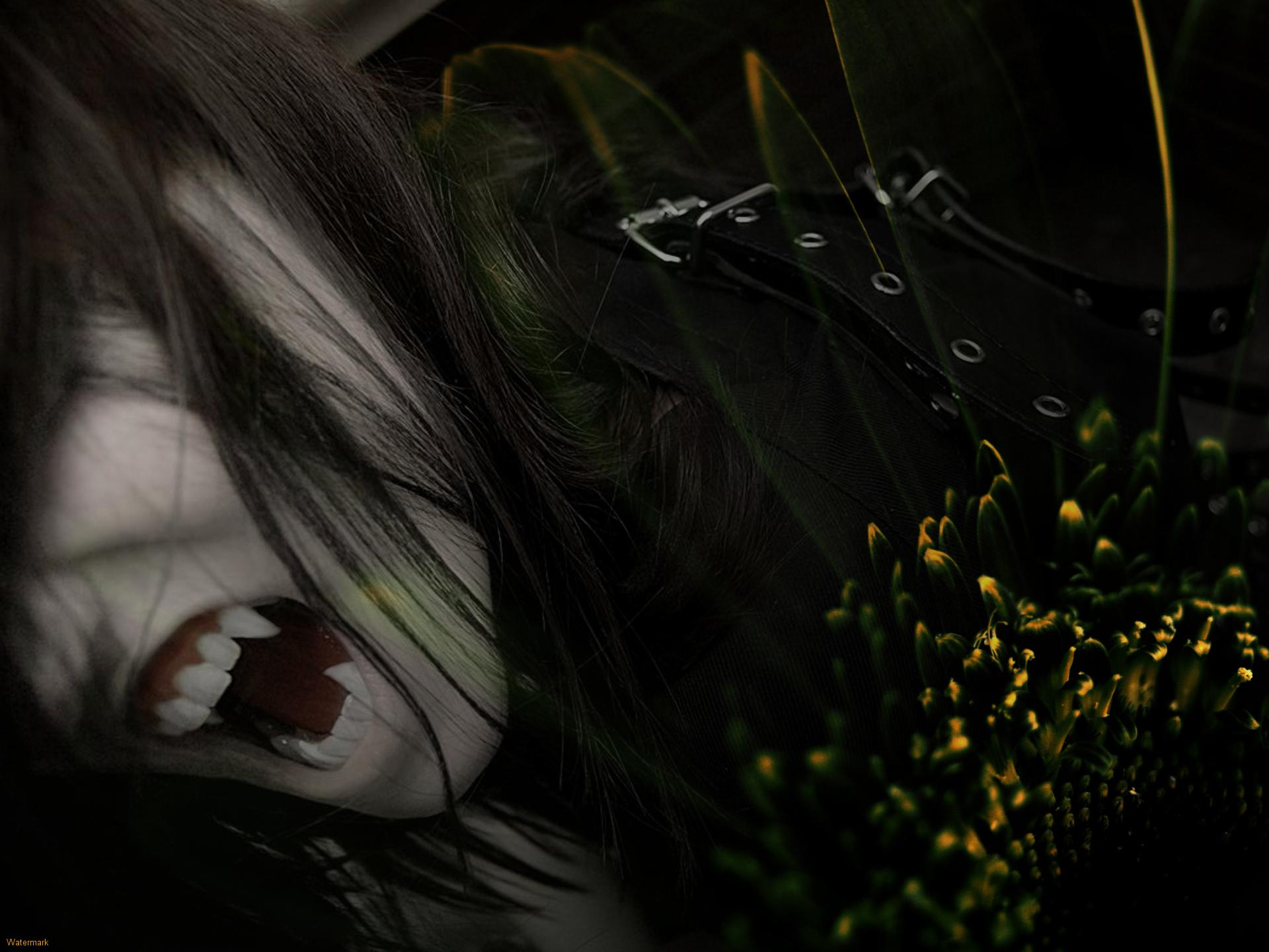 vampiro anime capelli scuri, 1920x1440 WUXGA, Desktop