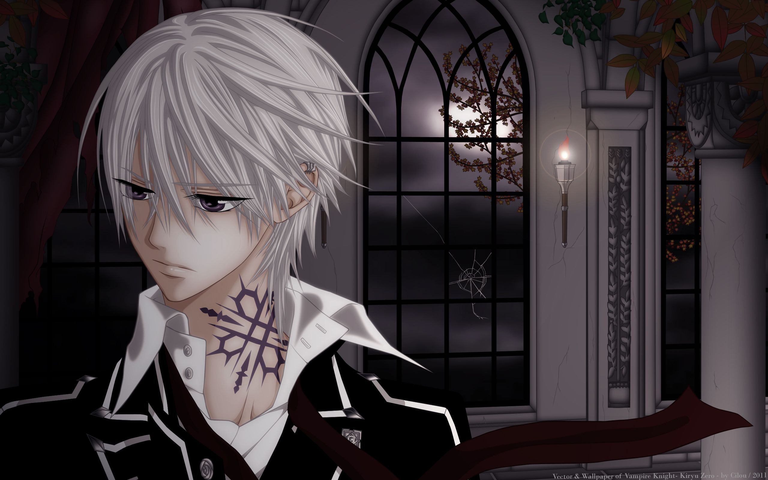 Zero Kiryu, Vampire Knight, 2560x1600 2K, Laptop