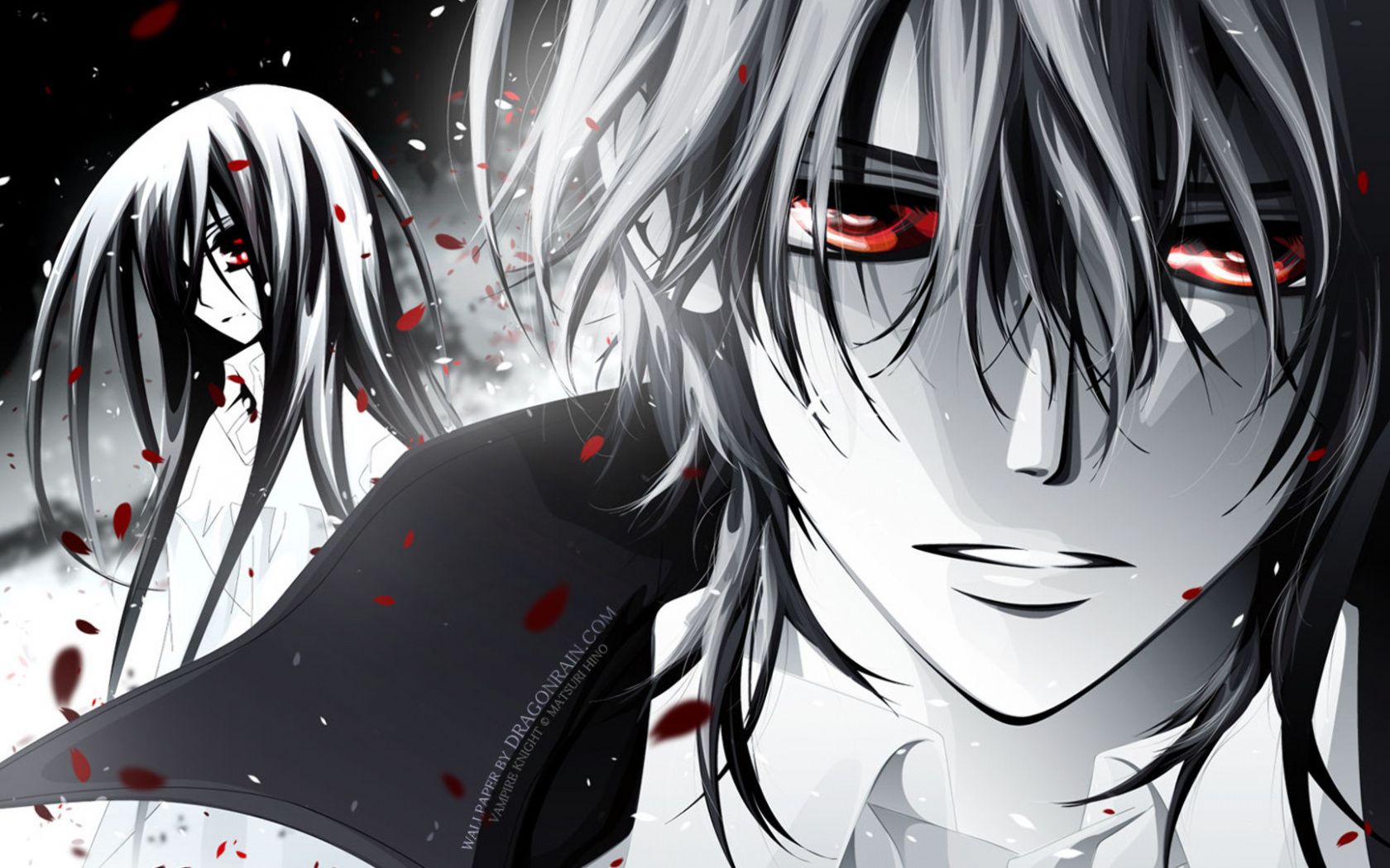 Kaname Kuran, Vampire Knight, 1680x1050 HD Ready, Laptop