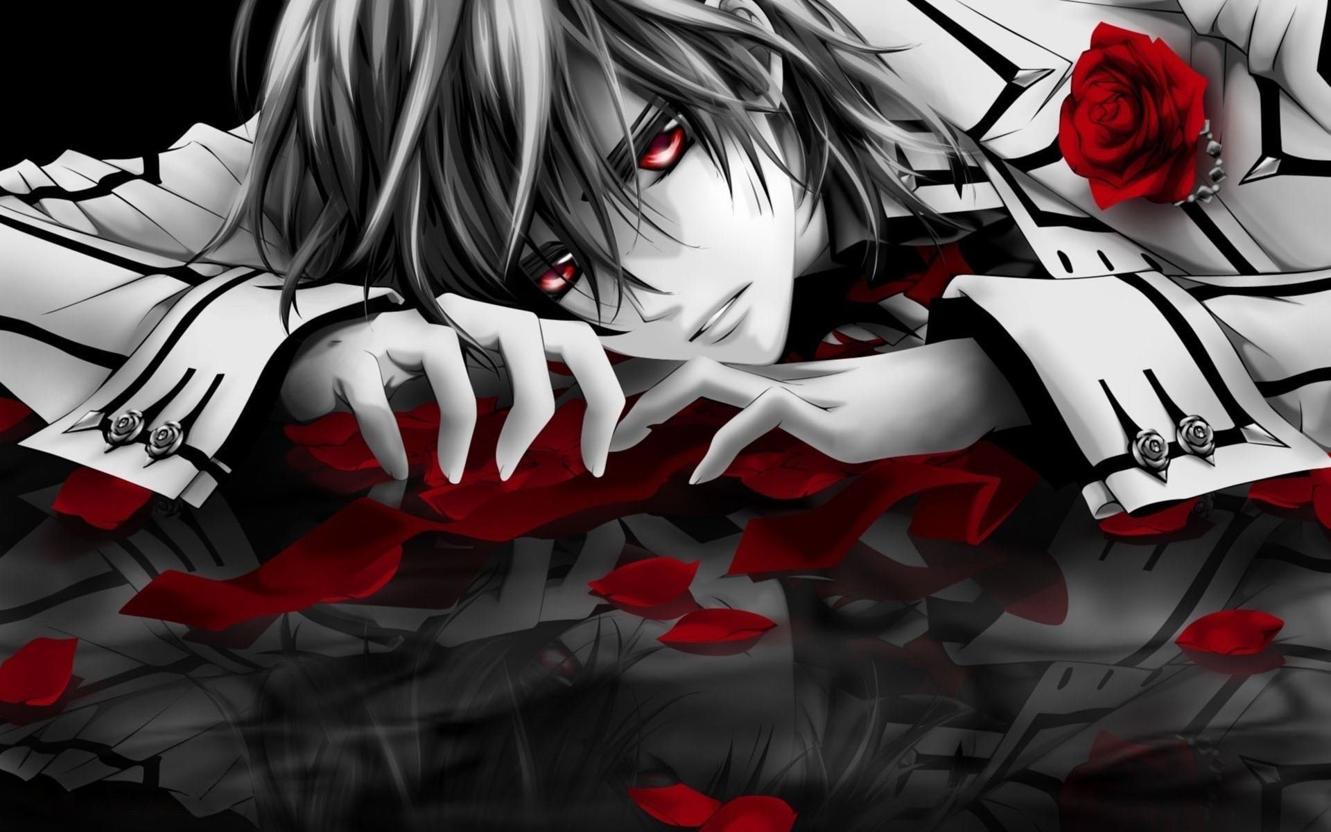 Vampire Knight, rosa rossa, sangue, 1920x1200 WUXGA, PC Desktop