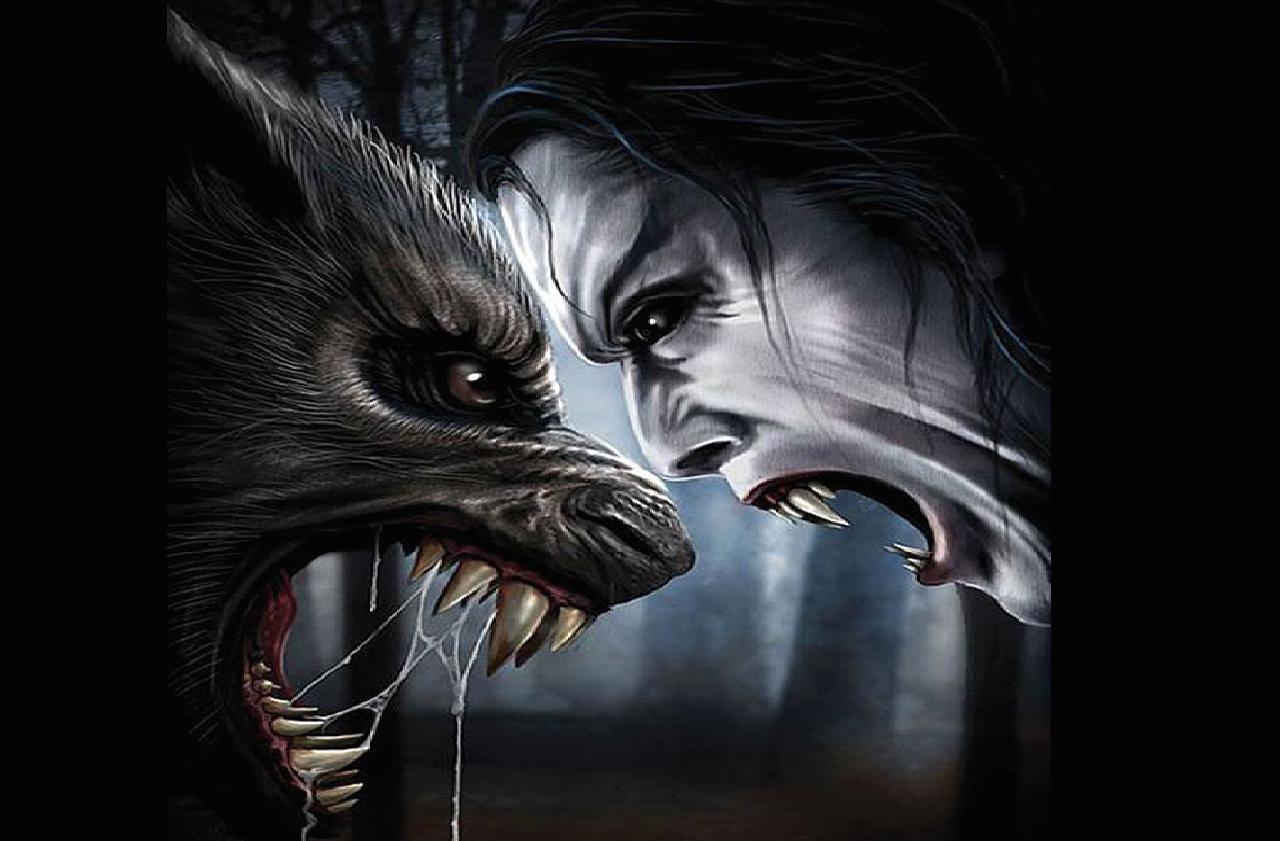 Lupo mannaro contro vampiro, 1280x841 720p, PC