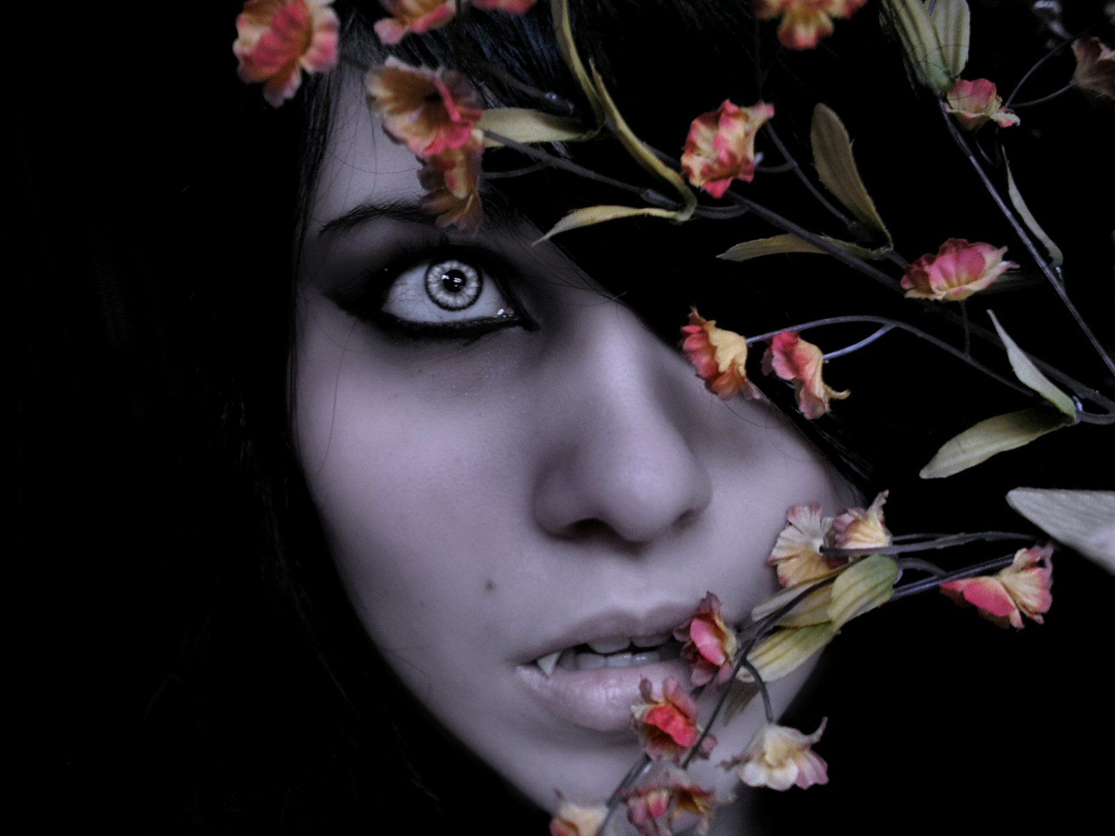 Vampira pallida con fiori, 1600x1200 HD Ready, Desktop