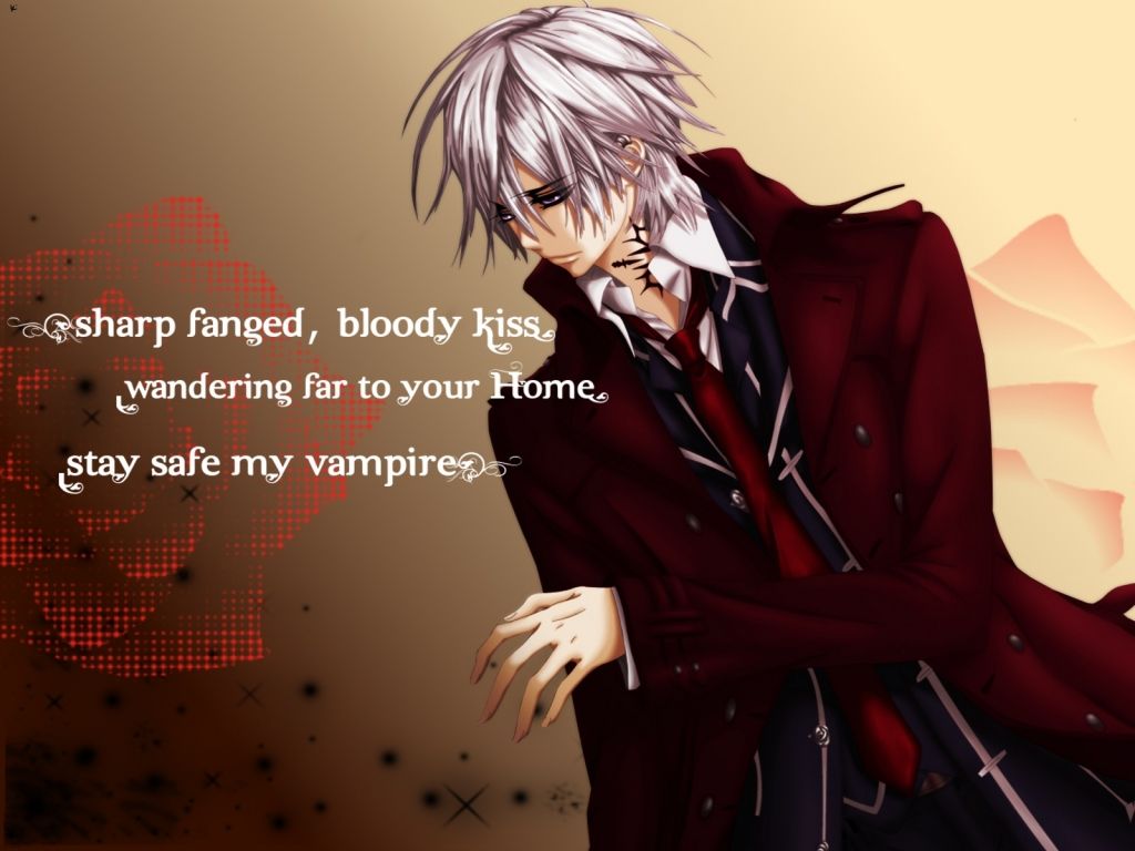 Zero Kiryuu Vampire Knight, 1024x768 HD, Desktop