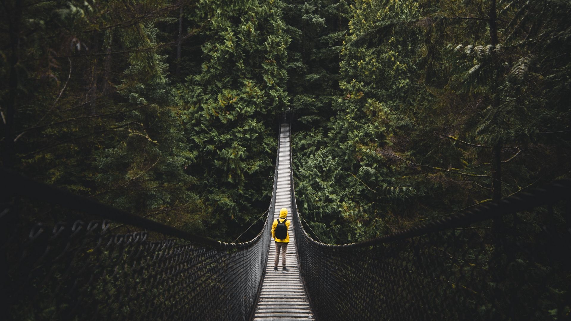 Ponte sospeso nella foresta, Vancouver, 1920x1080 Full HD 1080p, Laptop