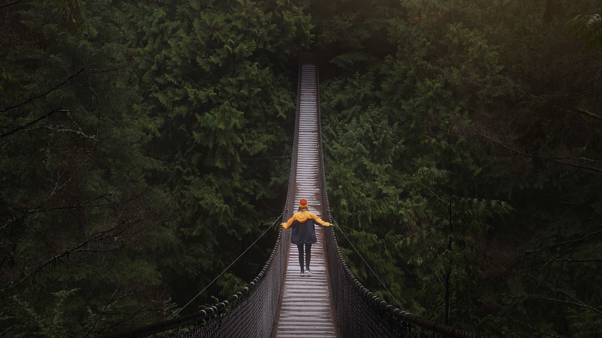 Ponte sospeso nella foresta, Vancouver, 1920x1080 Full HD, Laptop