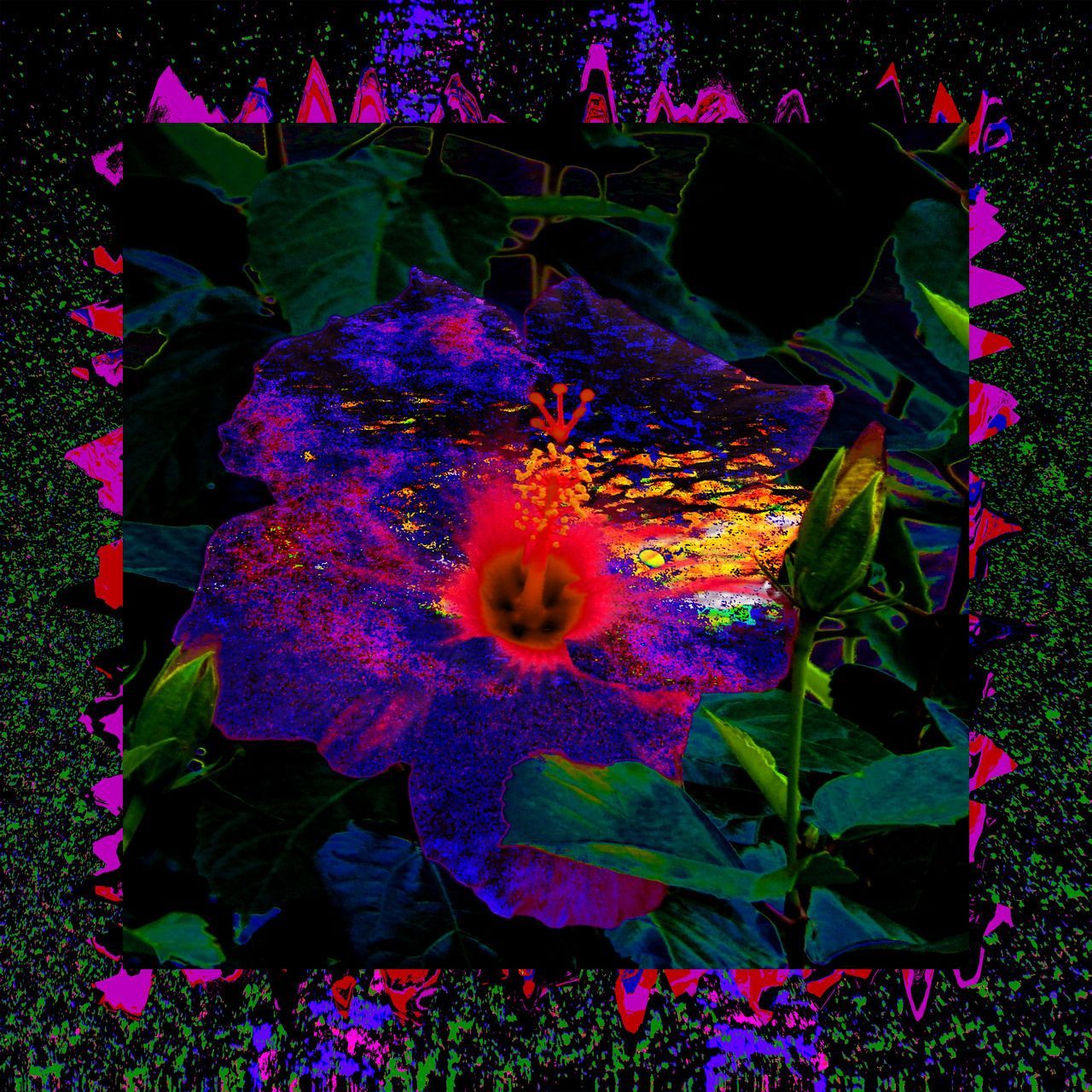 volto wireframe viola neon, 1080x1920 Verticale, Samsung Galaxy