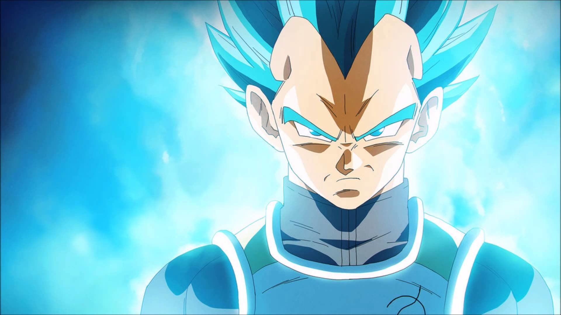 Vegeta Super Saiyan Blue, 1920x1080 1080p, Laptop