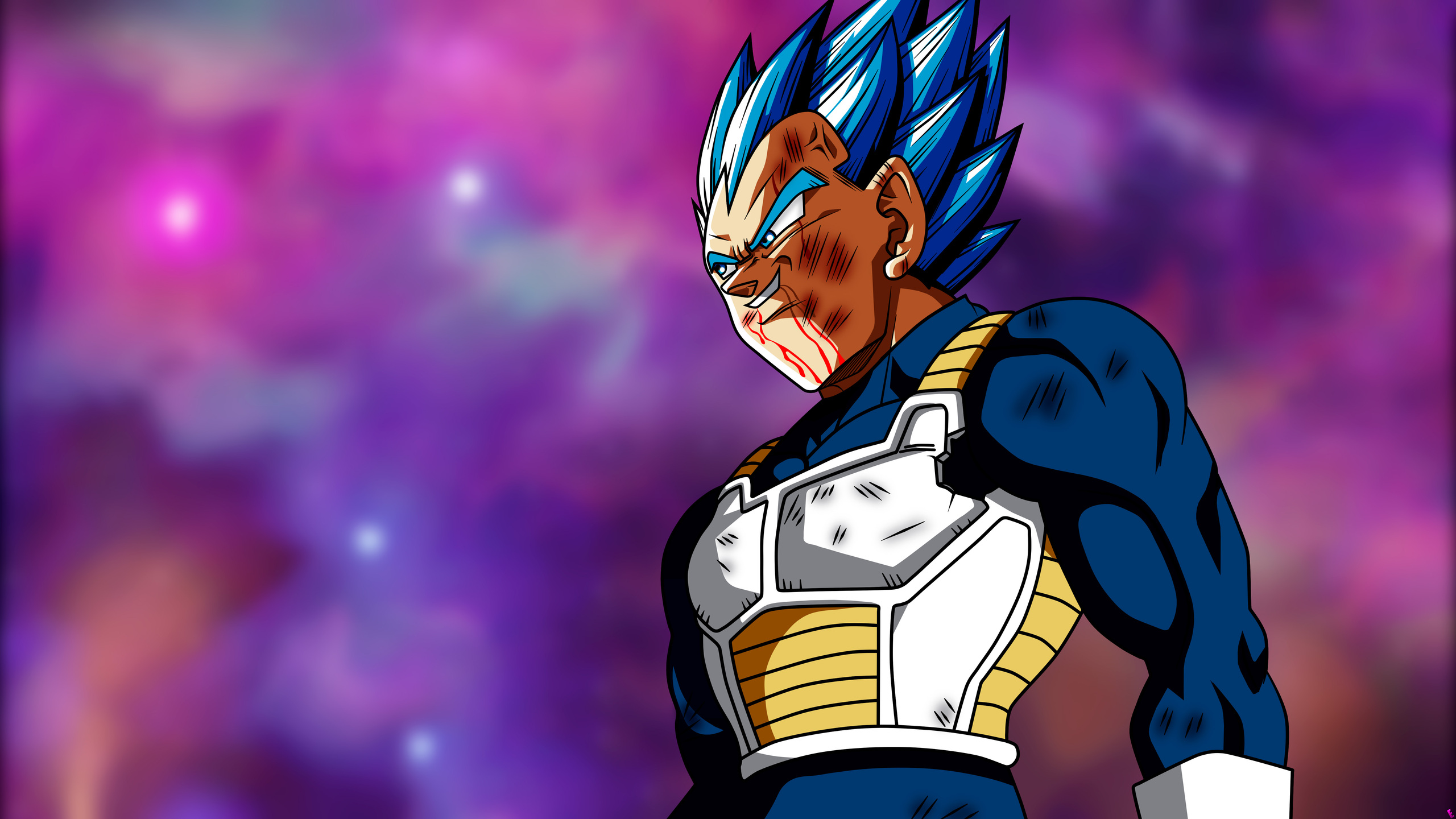 Vegeta Super Saiyan Blue, 2560x1440 QHD, Laptop