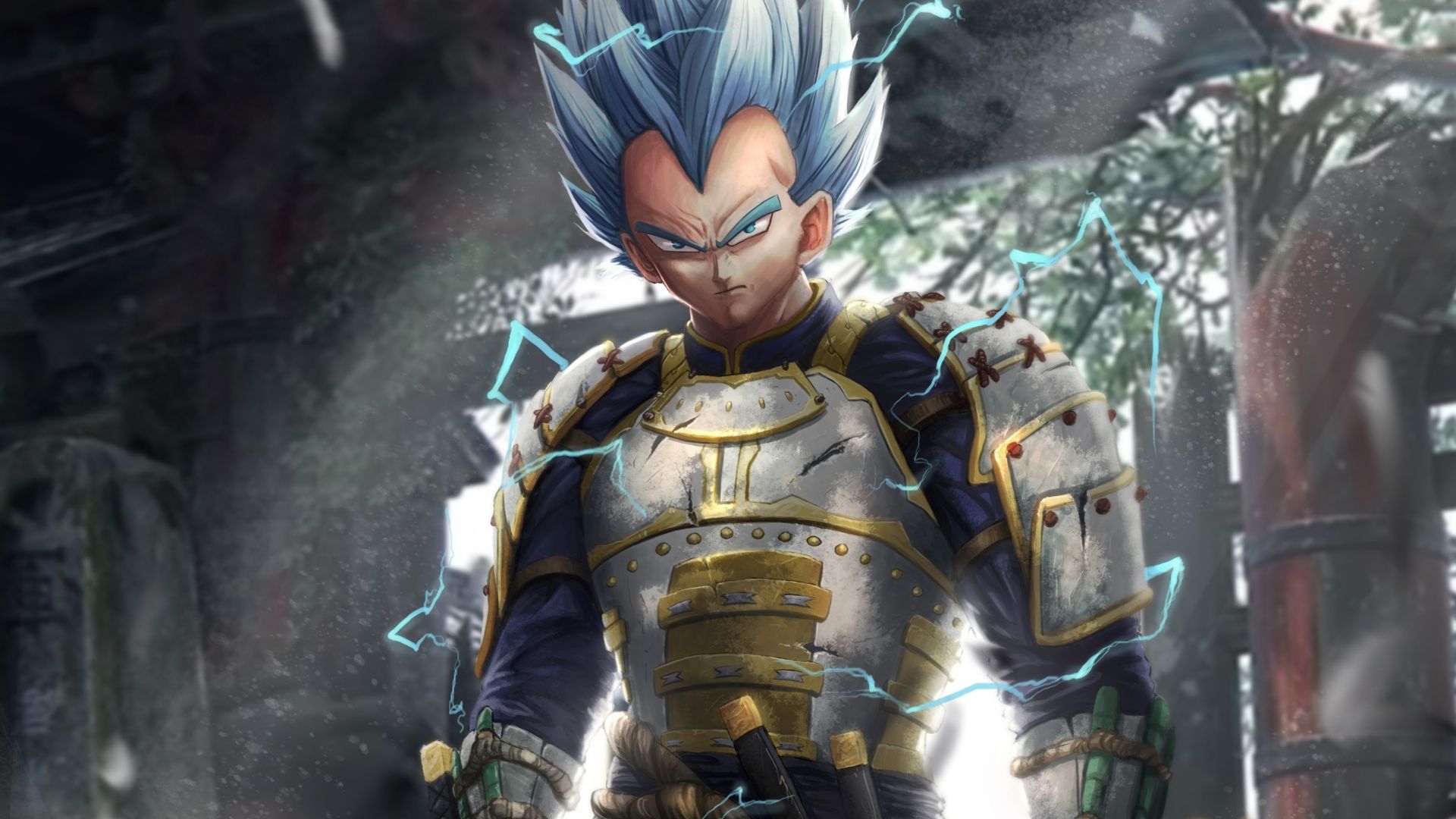Vegeta armatura samurai Dragon Ball, 1920x1080 Full HD 1080p, Laptop