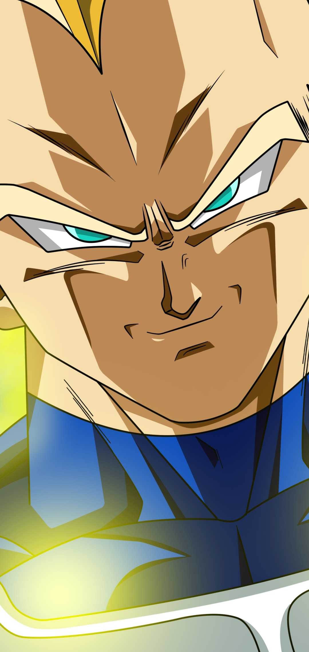 Vegeta Dragon Ball primo piano, 1080x2280 Verticale, Mobile