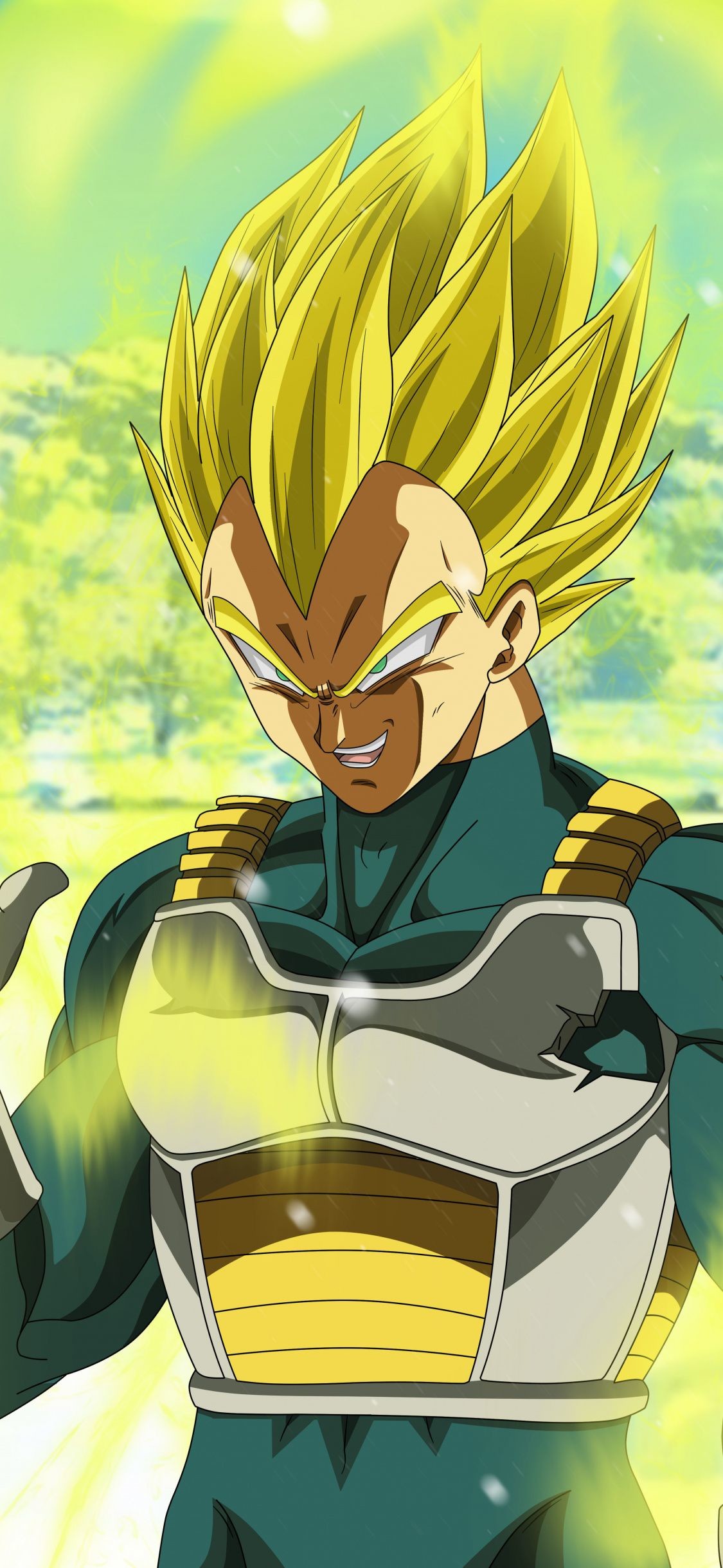 Vegeta Super Saiyan Dragon Ball, 1125x2436 Full HD Verticale, iPhone
