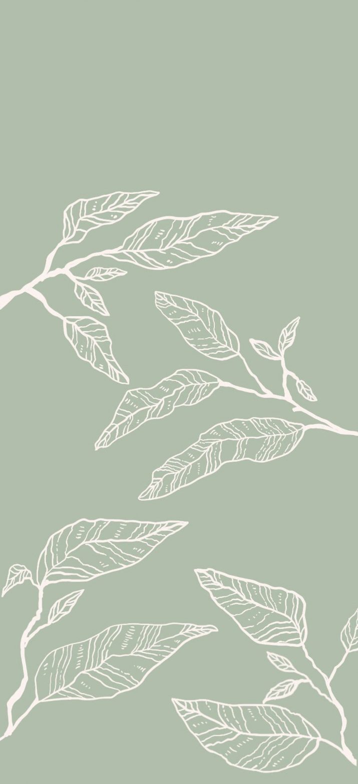 Foglie disegnate verde salvia, 715x1565 Full HD Verticale, iPhone