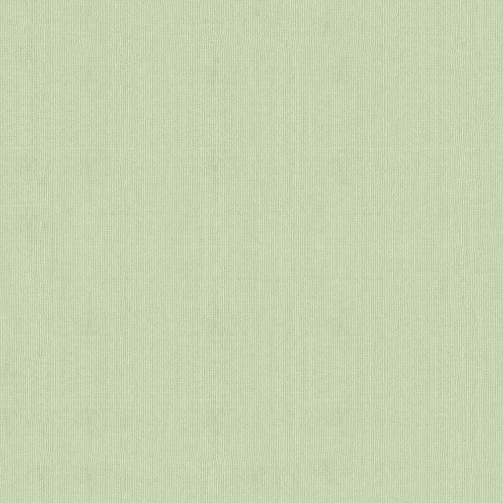 Sfondo tinta unita verde salvia, 1000x1000 HD, Desktop
