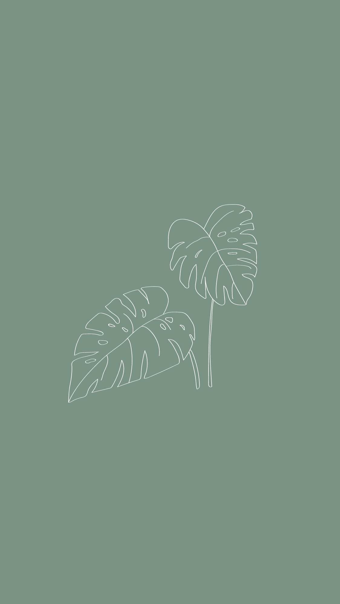 Foglie monstera disegno verde salvia, 1125x2000 Full HD Verticale, iPhone