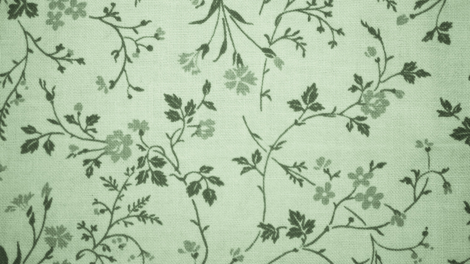 Texture floreale verde salvia, 1920x1080 1080p, PC