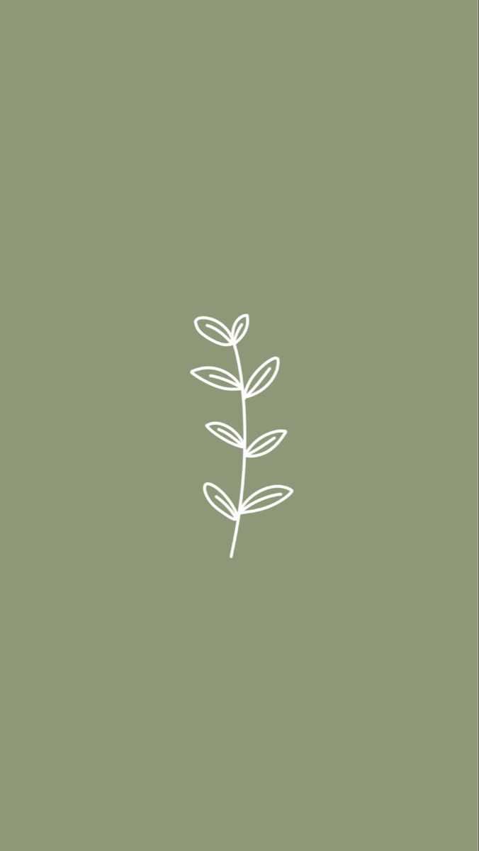 Ramo foglie verde salvia, 676x1200 Full HD Verticale, Realme
