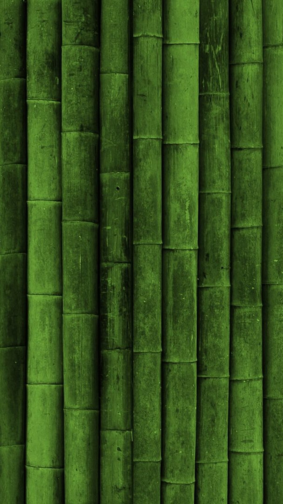 Canne di bambù verde, 1080x1920 Full HD Verticale, iPhone