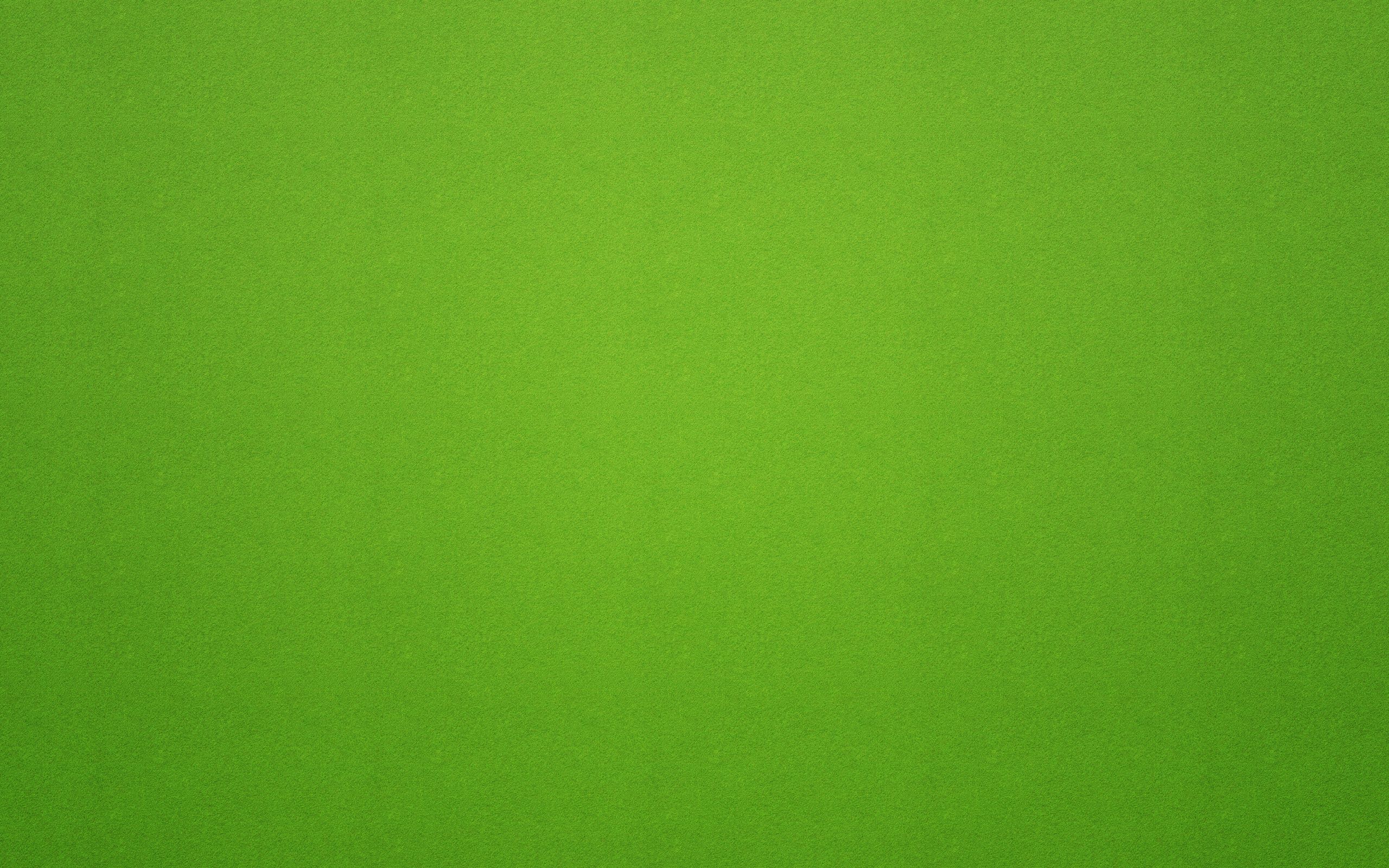 Sfondo verde tinta unita, 2560x1600 2K, Laptop