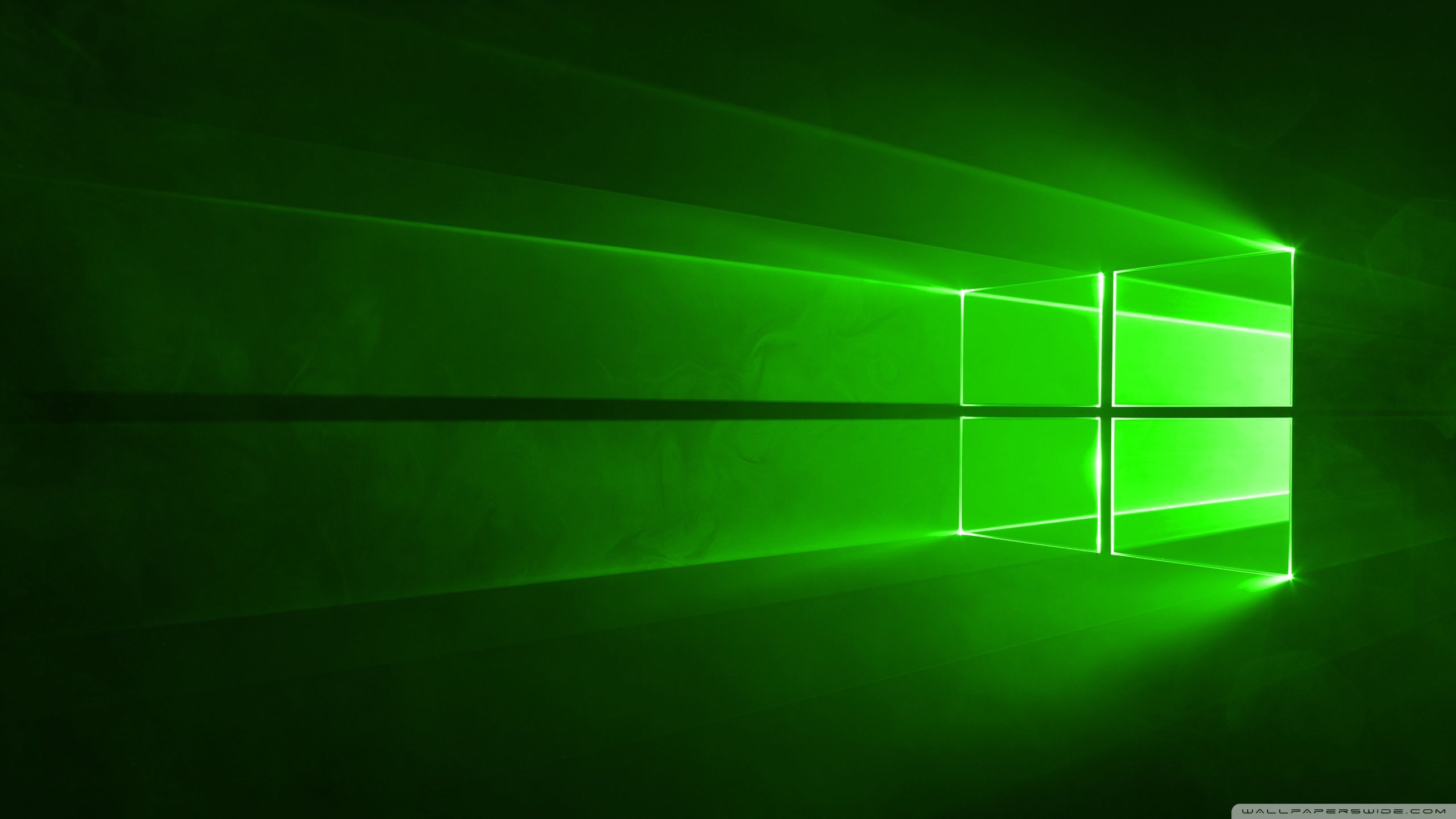 Linee neon verdi curve, 2560x1440 2K QHD, PC