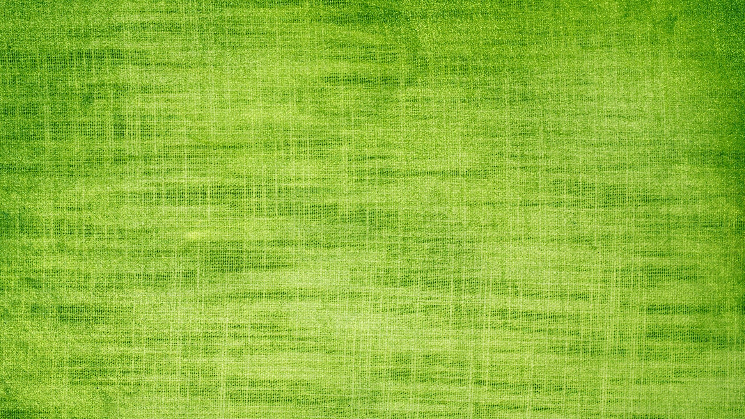 Simbolo biohazard verde digitale, 2560x1440 2K QHD, PC